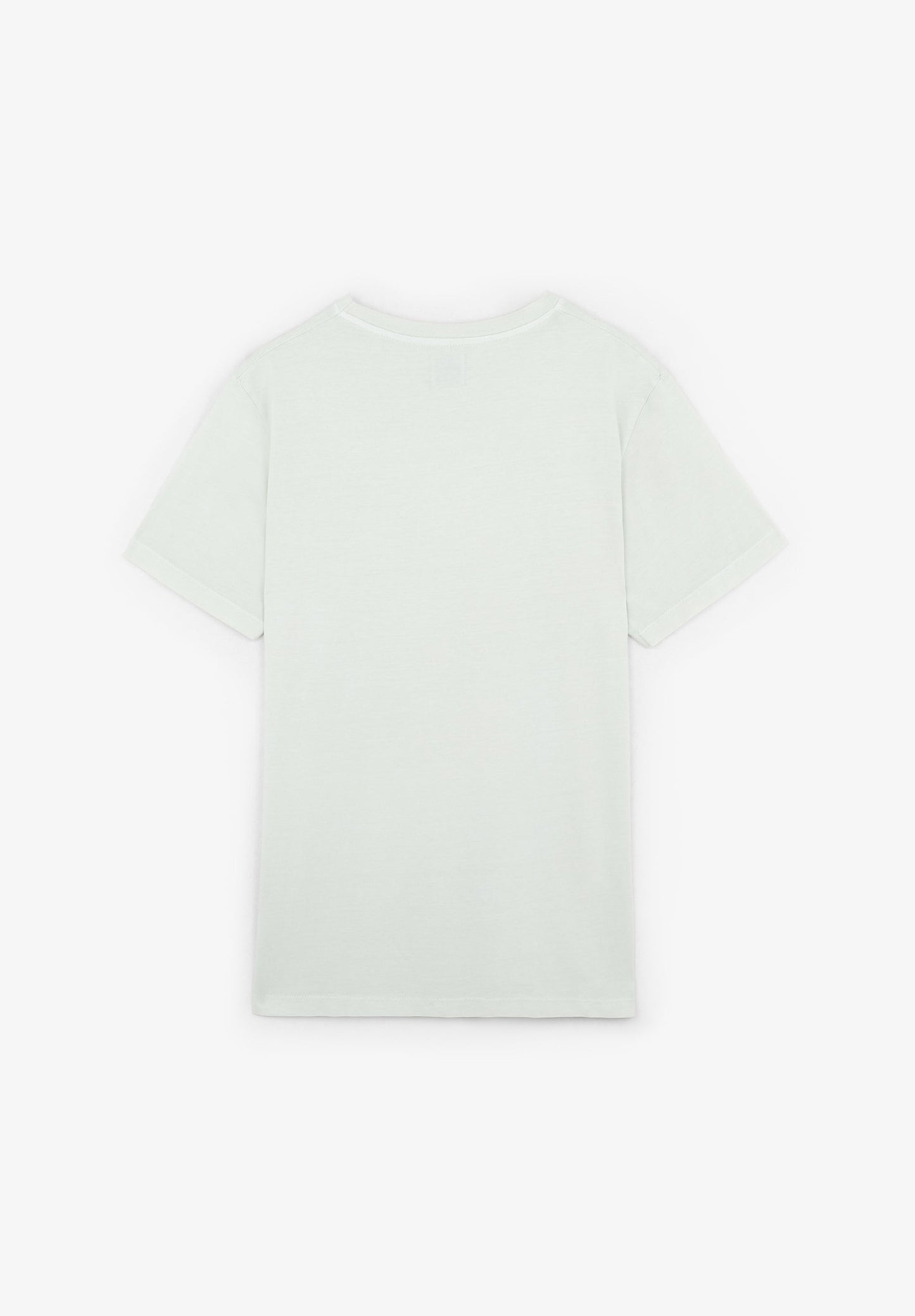CAMISETA BÁSICA CALAVERA