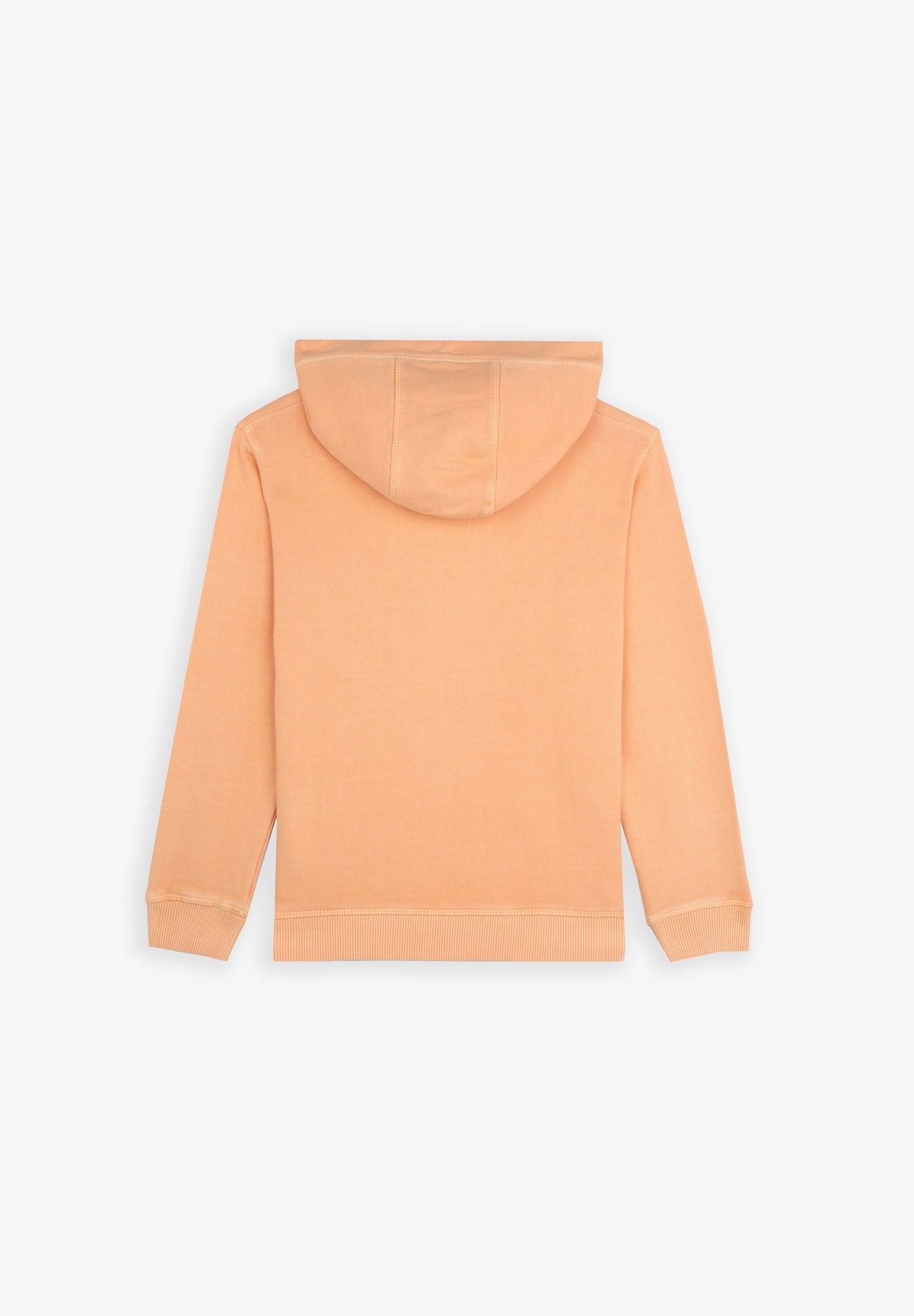 SUDADERA LAVADA PRINT