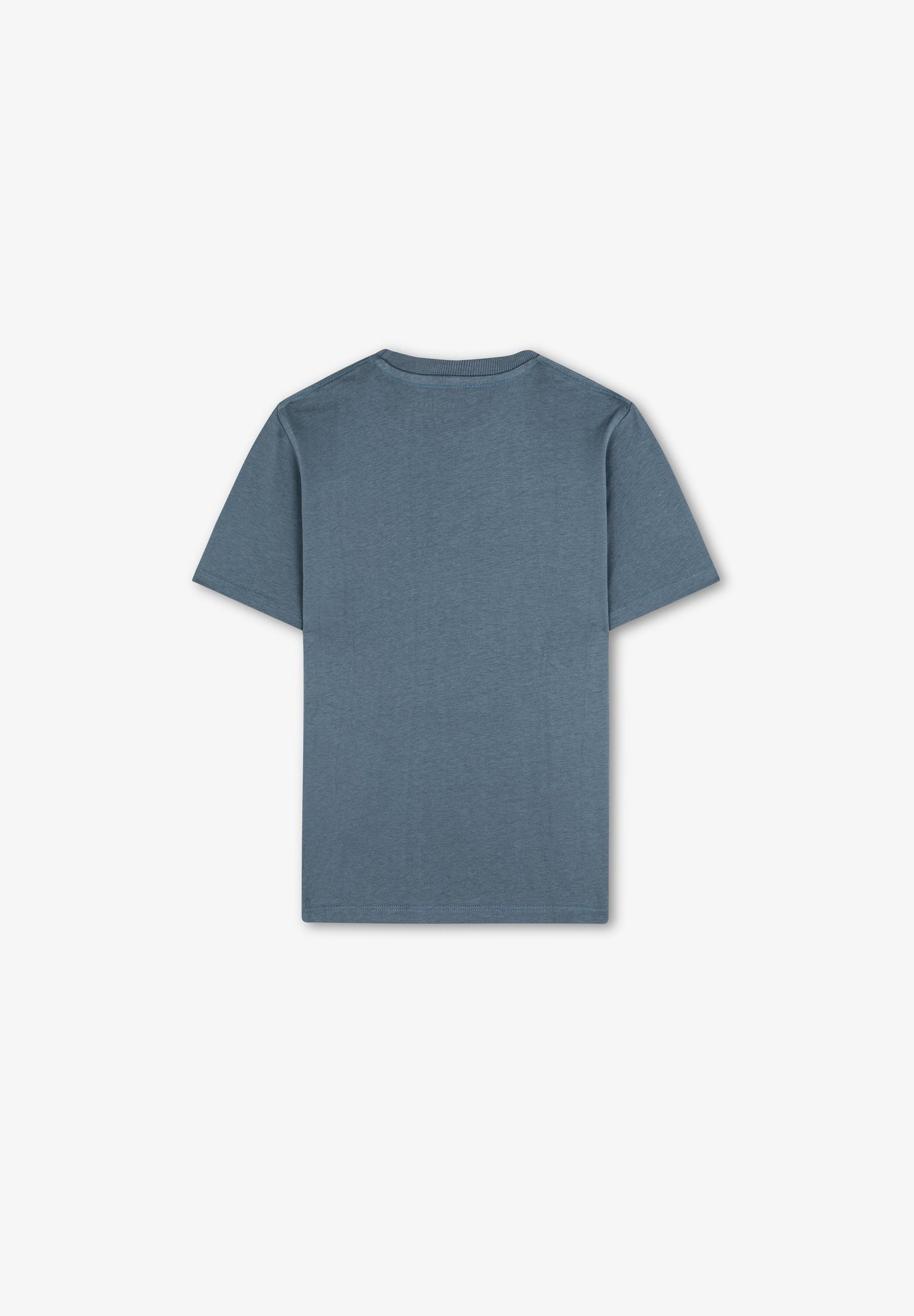 CAMISETA CALAVERA MAPA