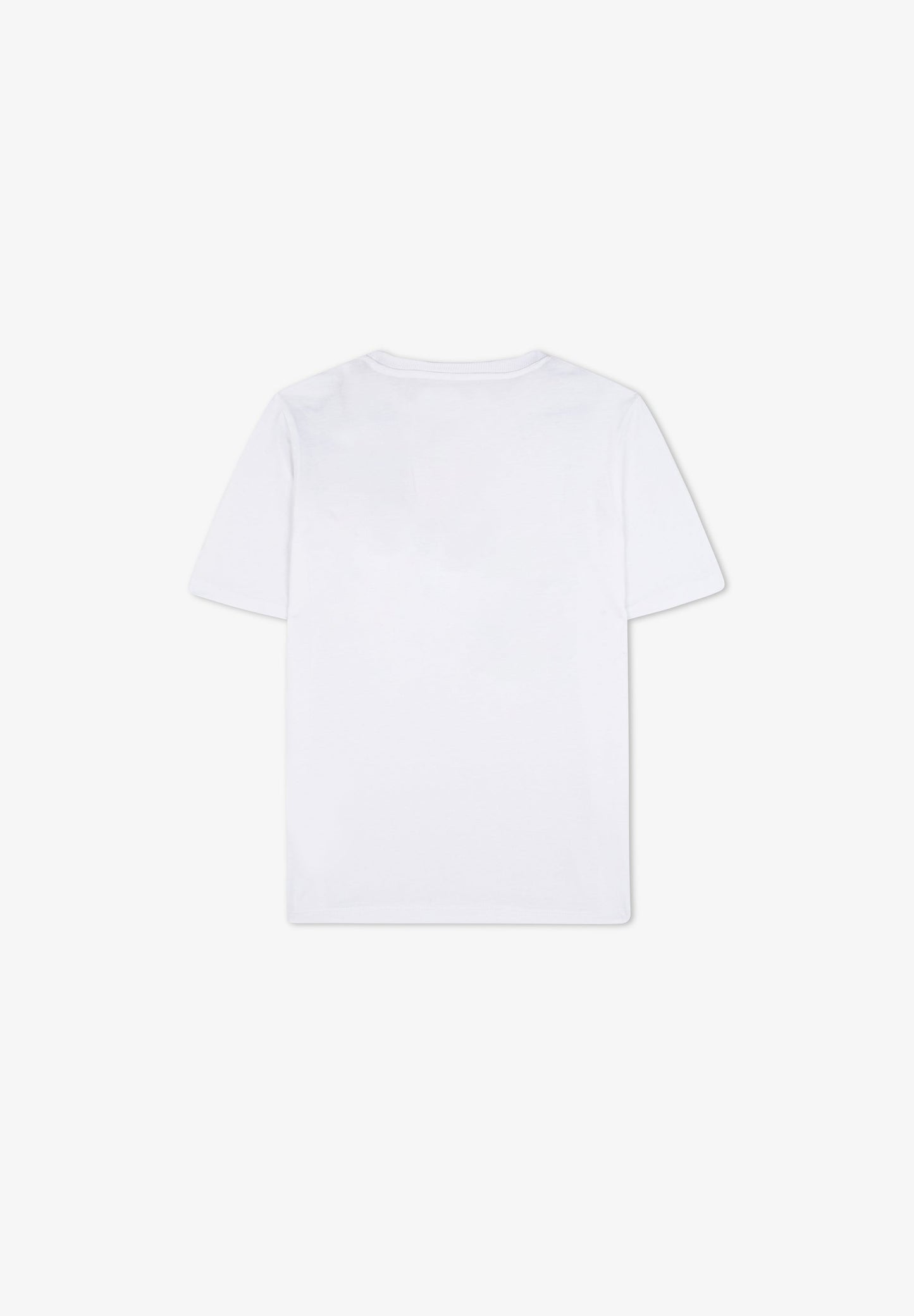 CAMISETA CALAVERA MAPA