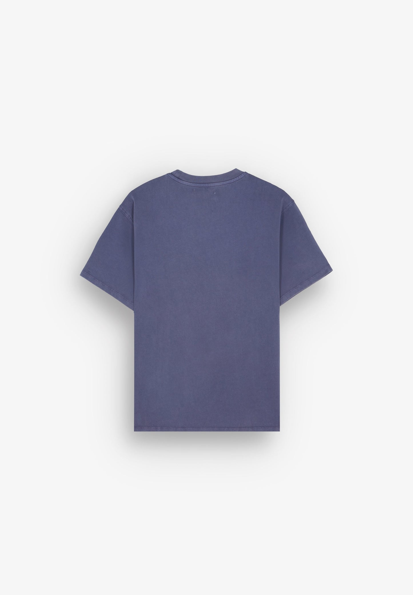 CAMISETA PRINT BLAZE