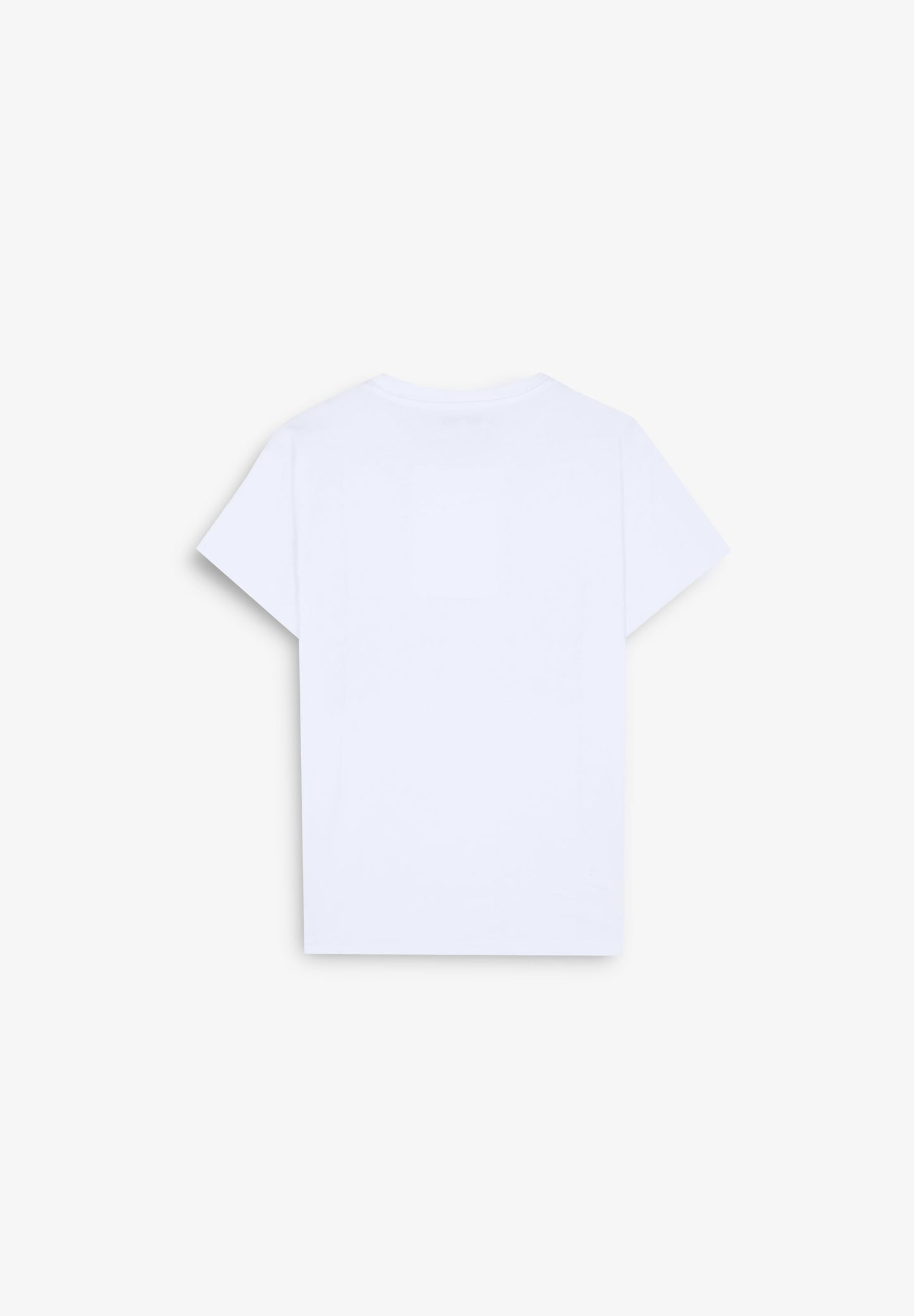 CAMISETA PRINT BLAZE