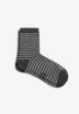CALCETINES ESTAMPADO RAYAS