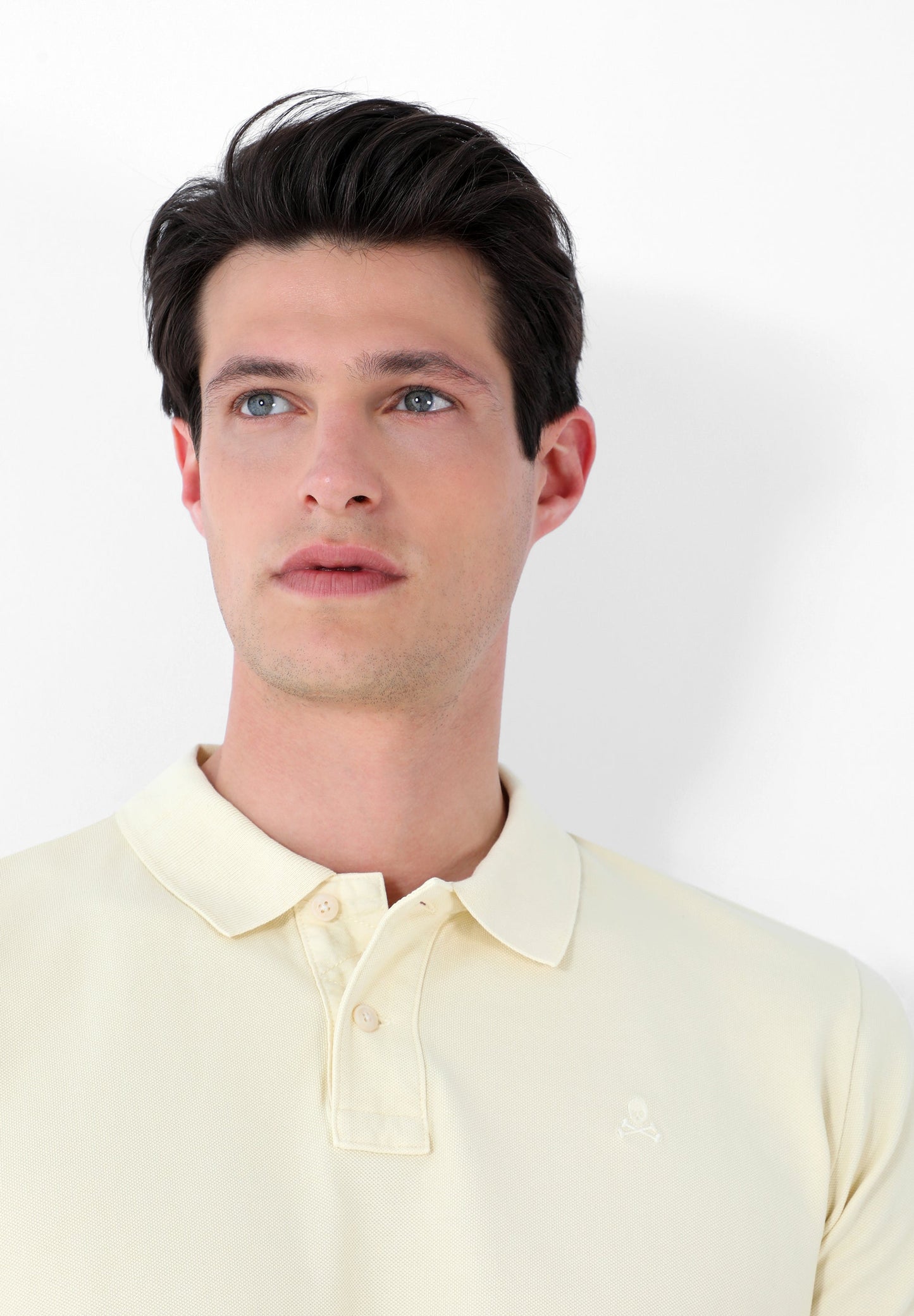 POLO BÁSICO CALAVERA