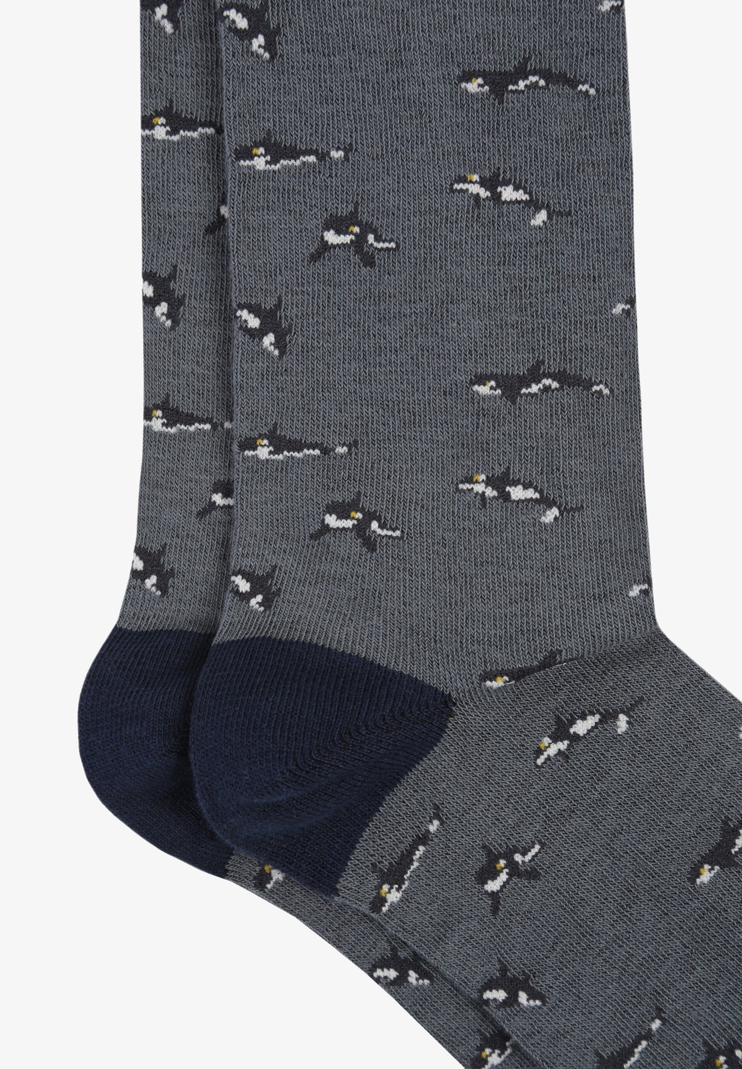 CALCETINES PRINT DIVERTIDO