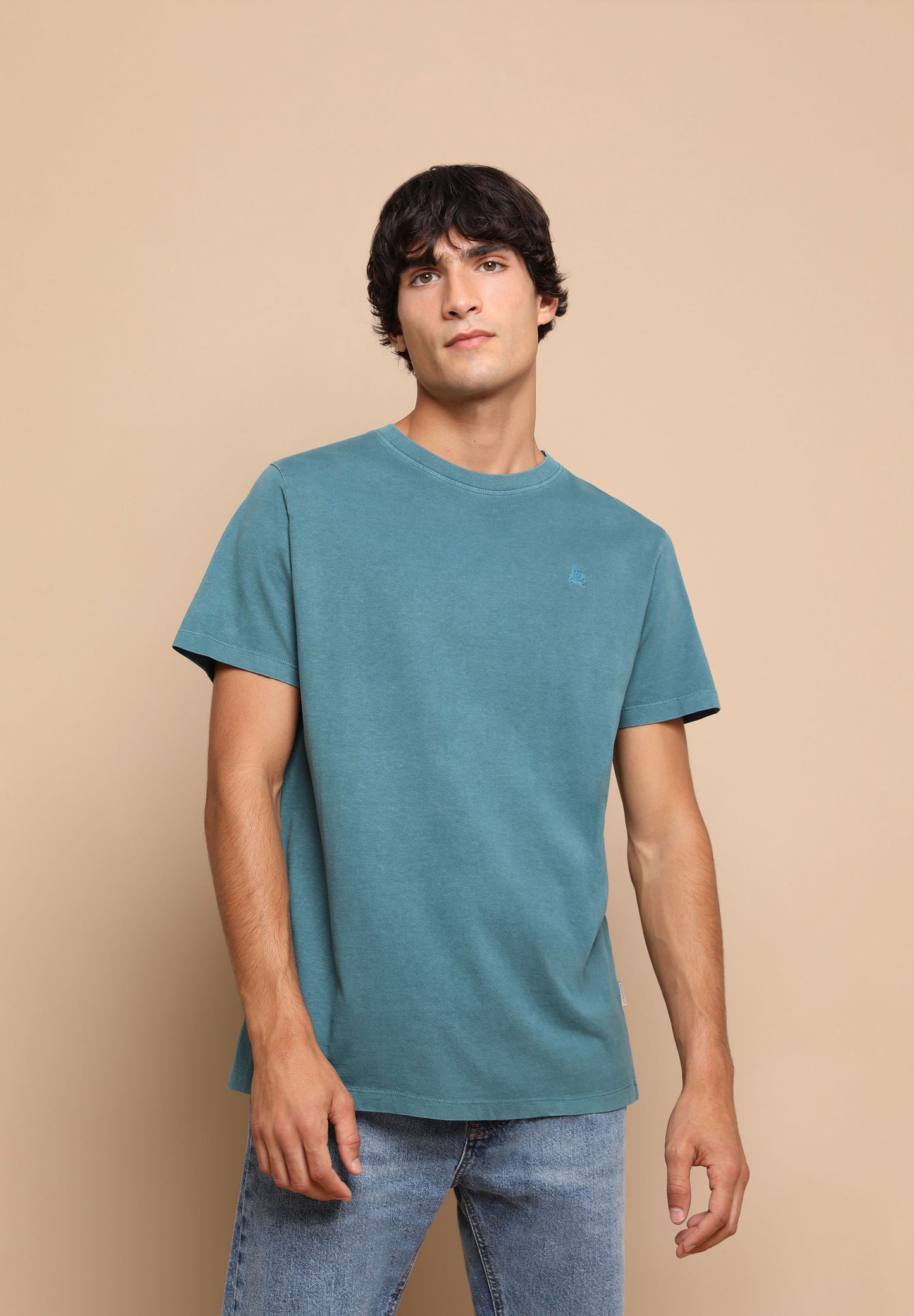 CAMISETA BÁSICA CALAVERA