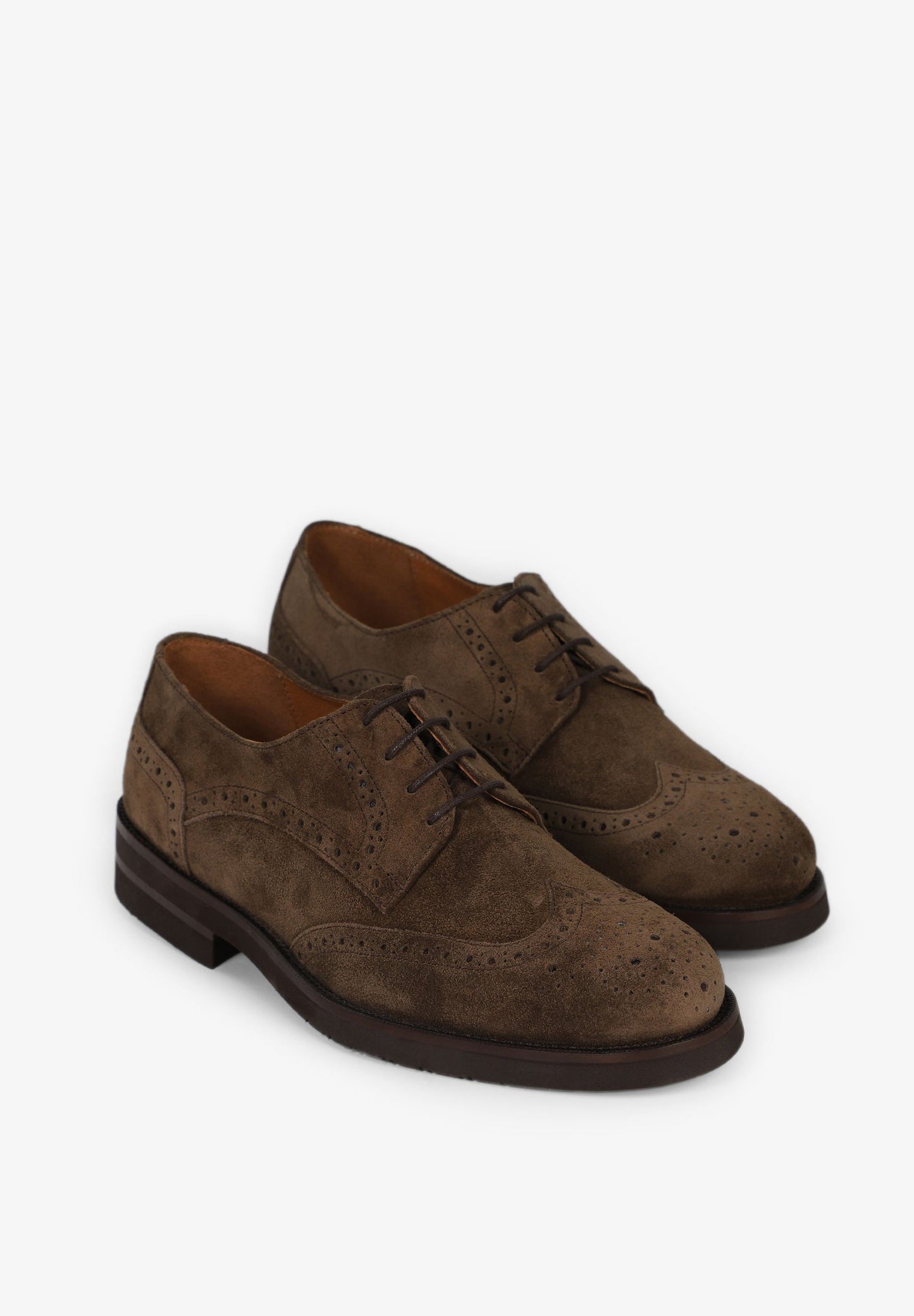 ZAPATOS VESTIR ANTE
