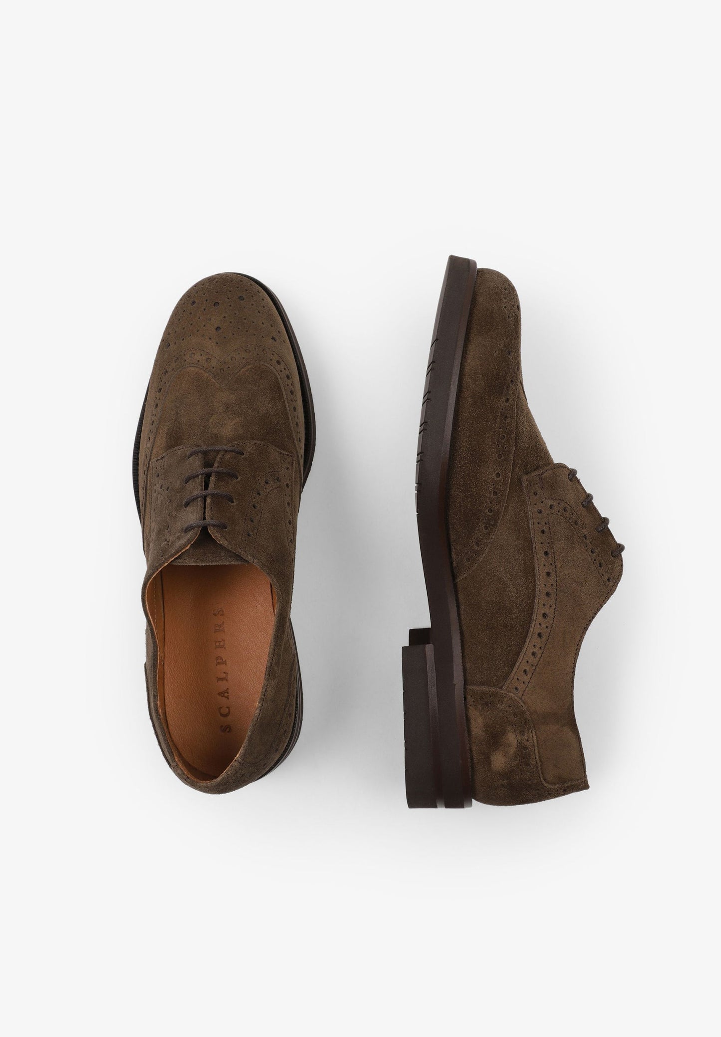 ZAPATOS VESTIR ANTE