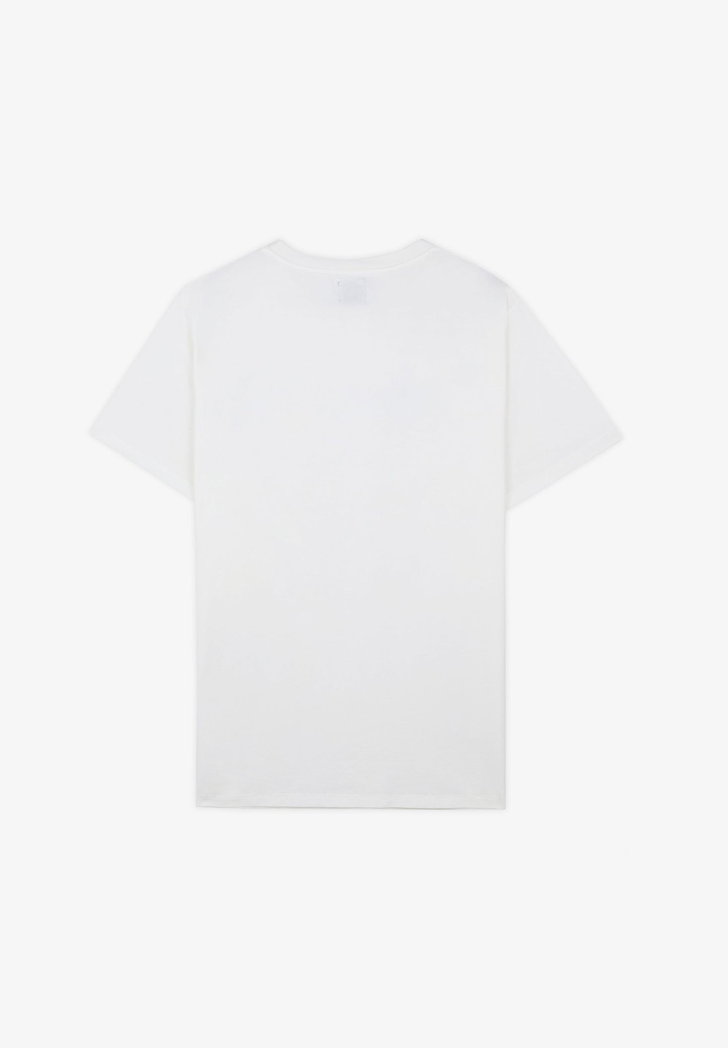 CAMISETA LAVADA PRINT FRONTAL