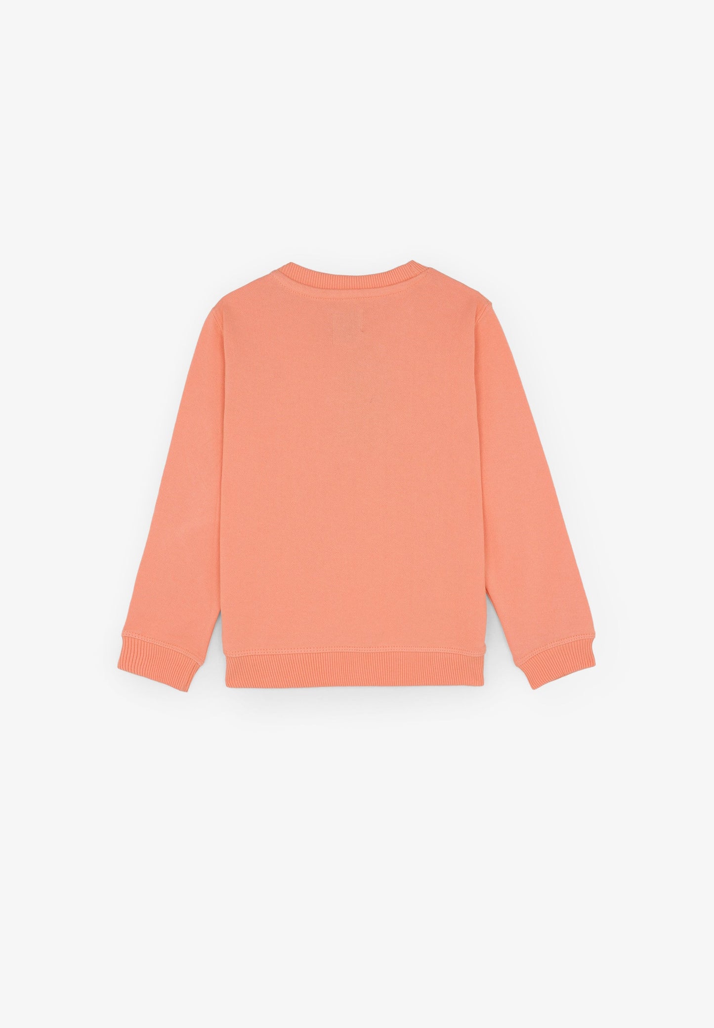 SUDADERA CALAVERA ÉTNICA