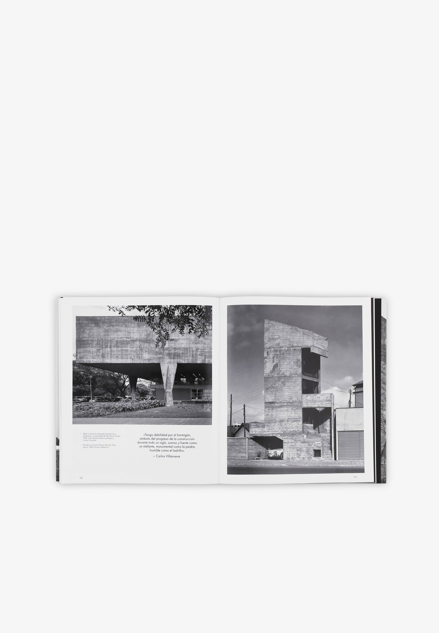 PHAIDON | LIBRO UN MUNDO BRUTAL