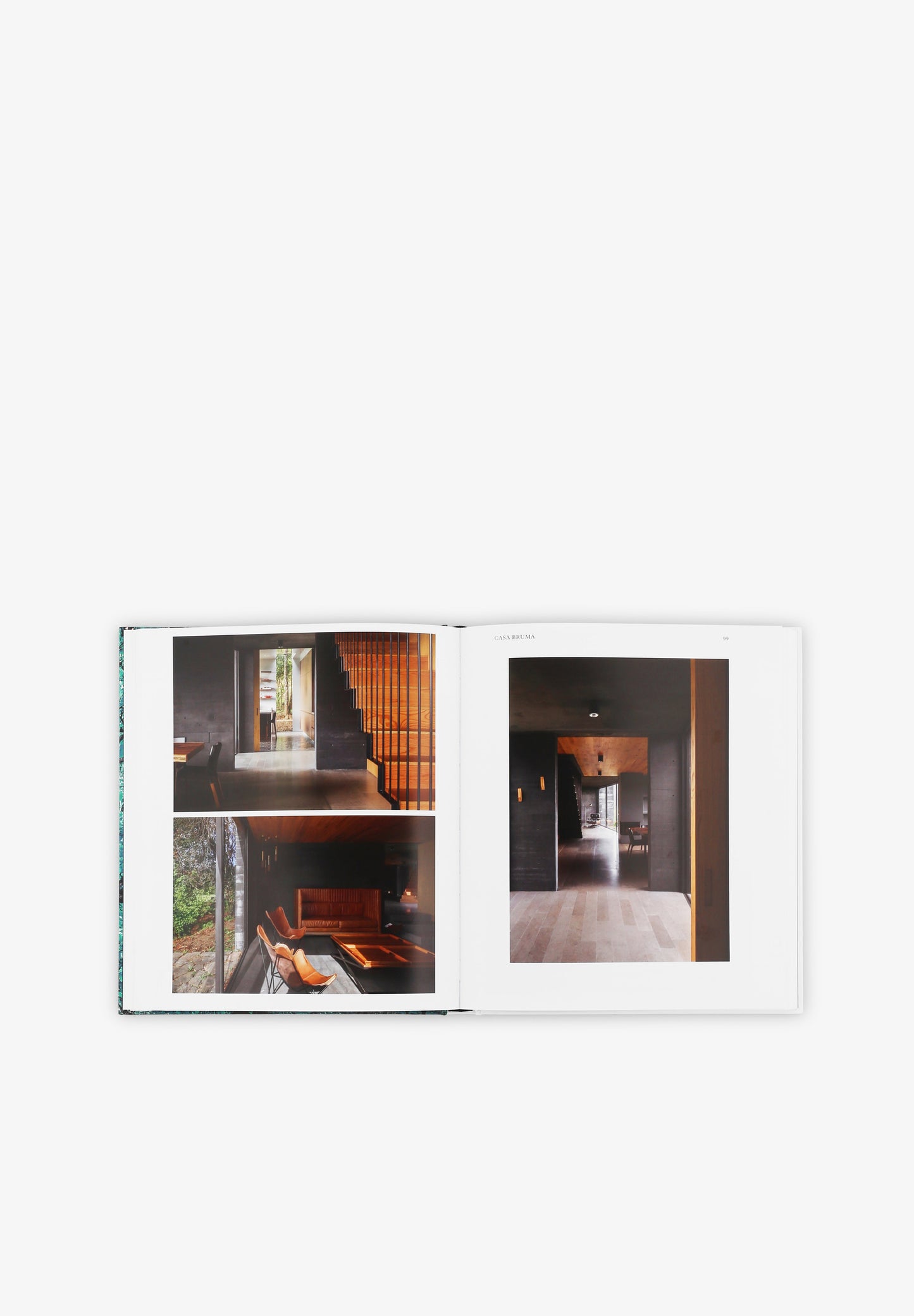 PHAIDON | LIBRO LIVING IN NATURE