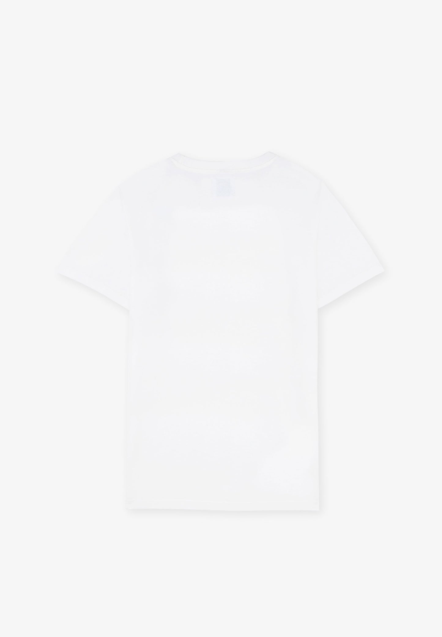 CAMISETA PRINT PECHO