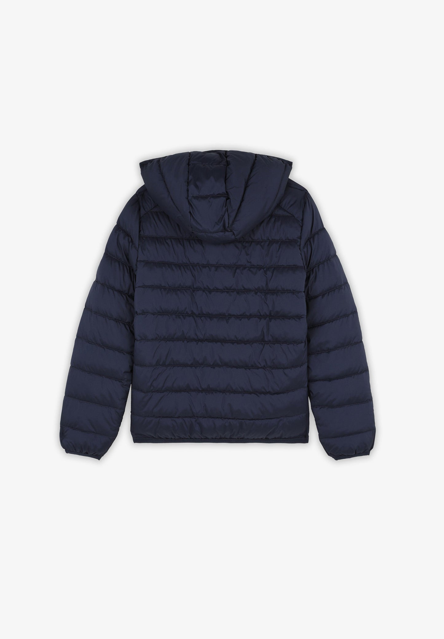 CHAQUETA ACOLCHADA CALAVERA