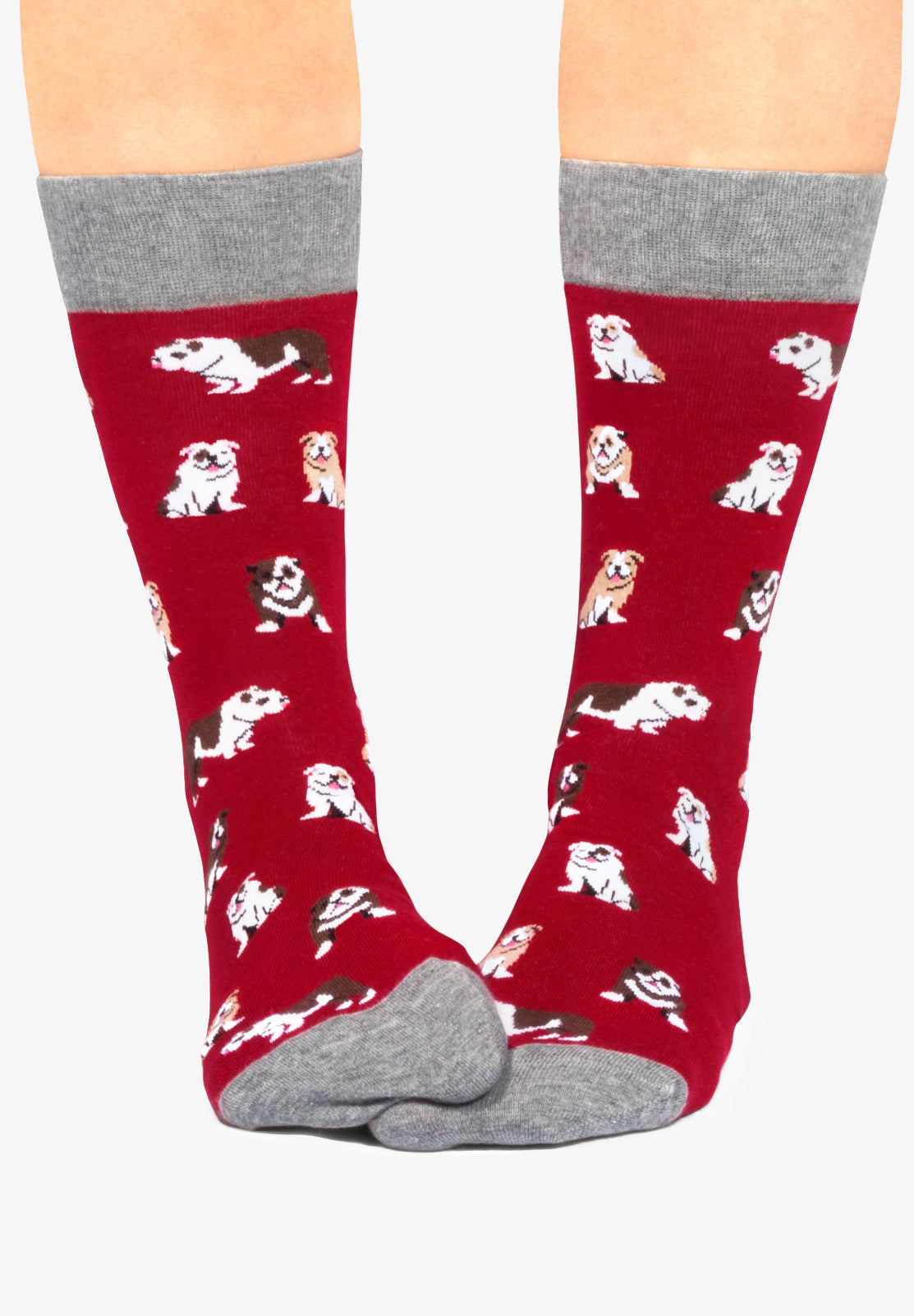 JIMMY LION | CALCETINES BULLDOGS