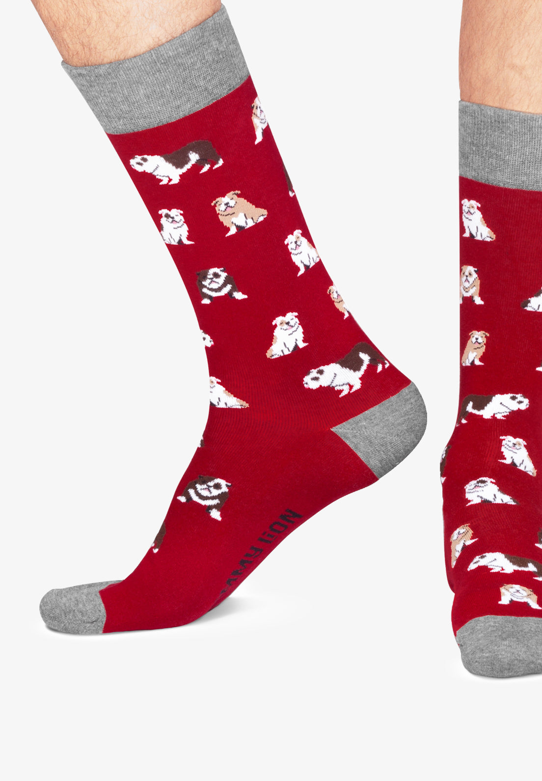 JIMMY LION | CALCETINES BULLDOGS