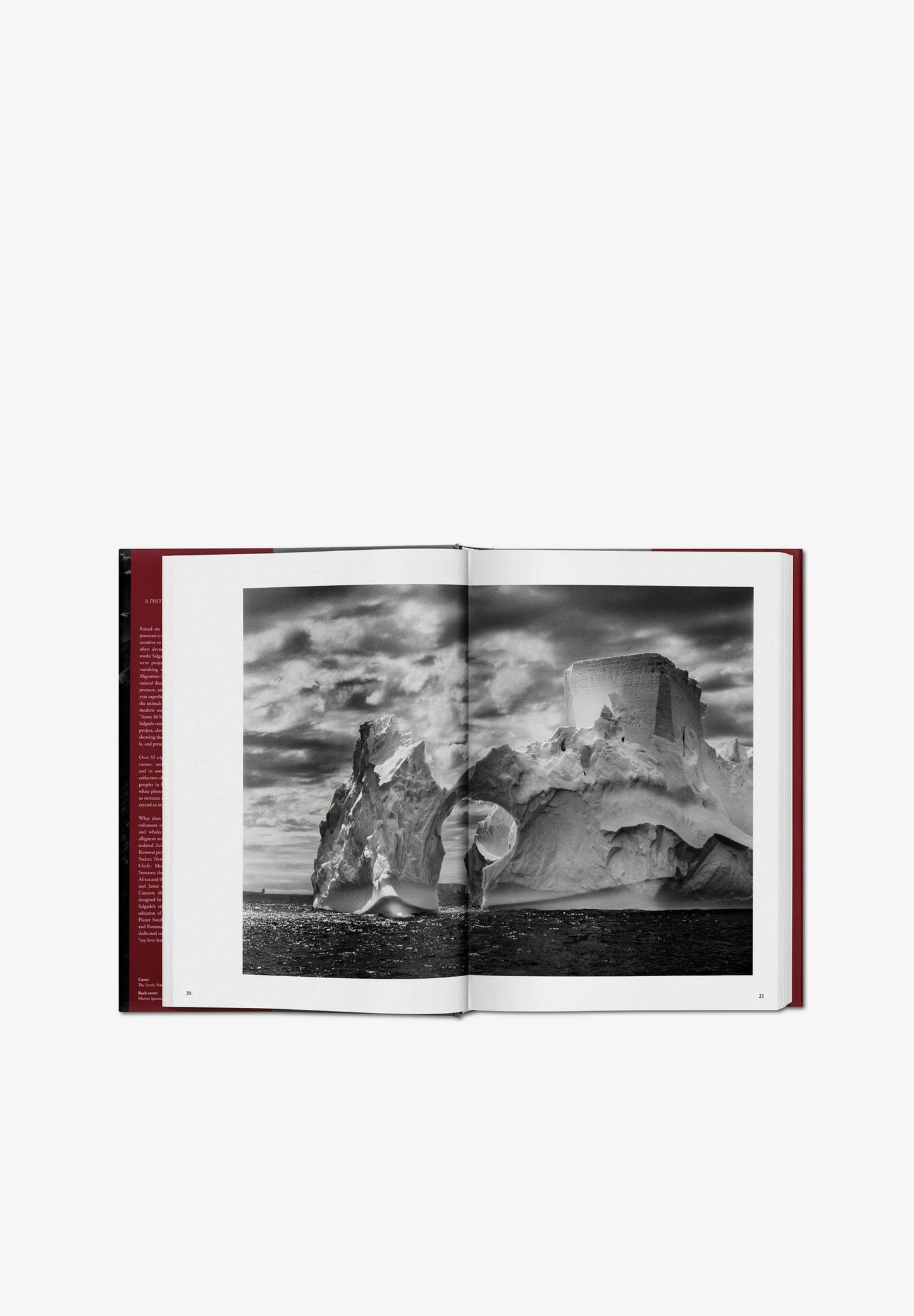 TASCHEN | LIBRO GENESIS SALGADO