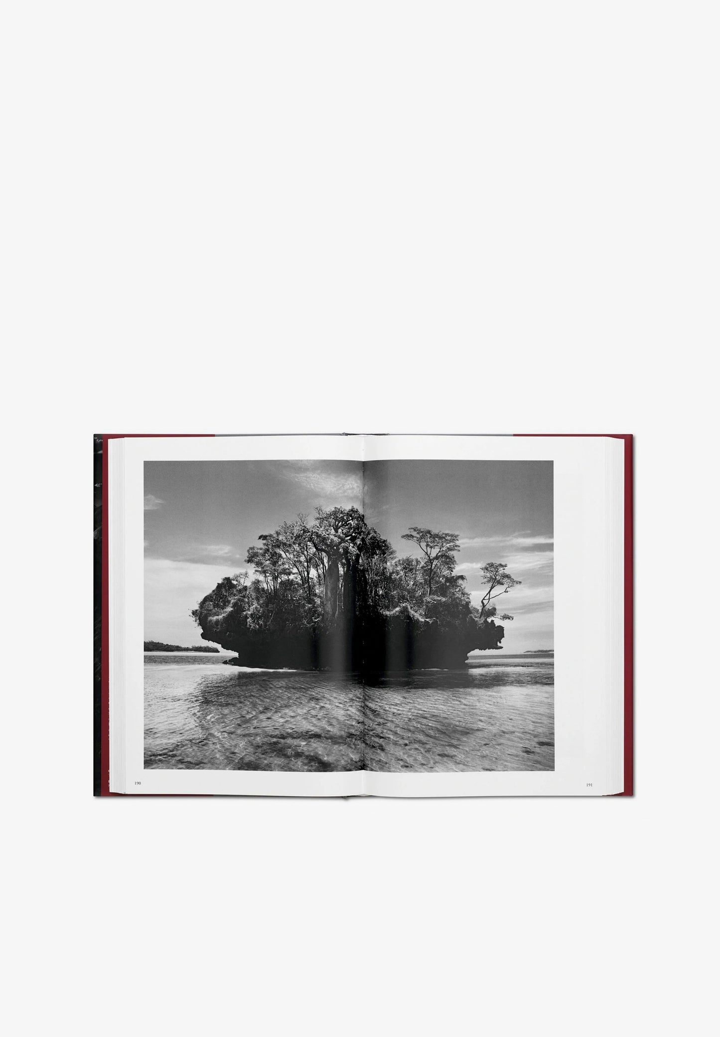 TASCHEN | LIBRO GENESIS SALGADO