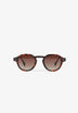 NEW SINTRA SUNGLASSES
