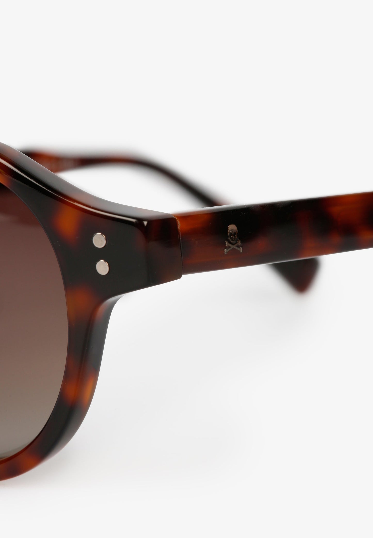 NEW SINTRA SUNGLASSES