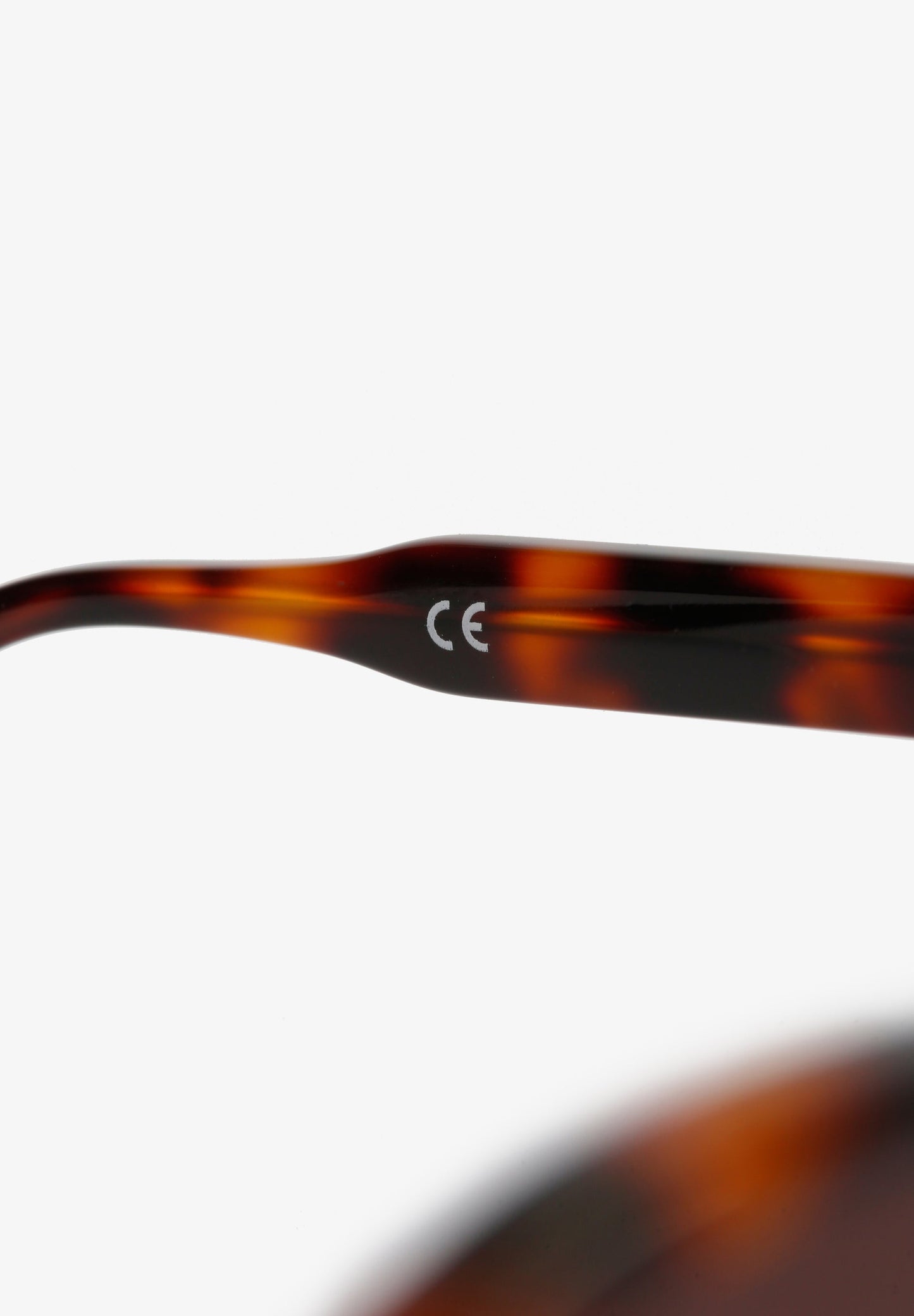 NEW SINTRA SUNGLASSES