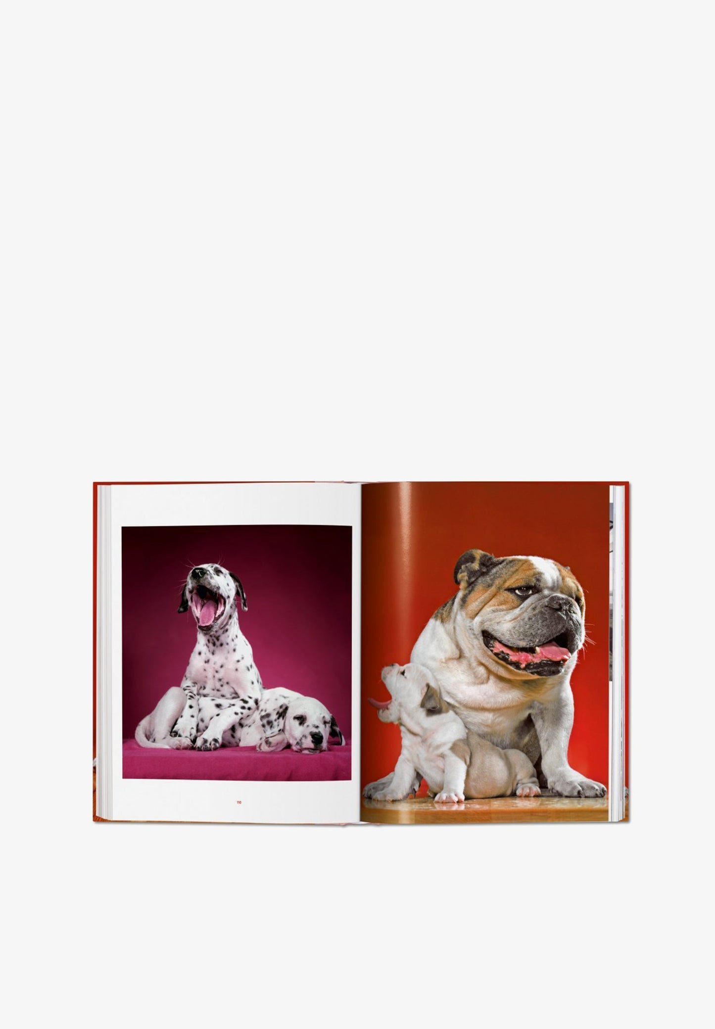 TASCHEN | LIBRO WALTER CHANDOHA DOGS