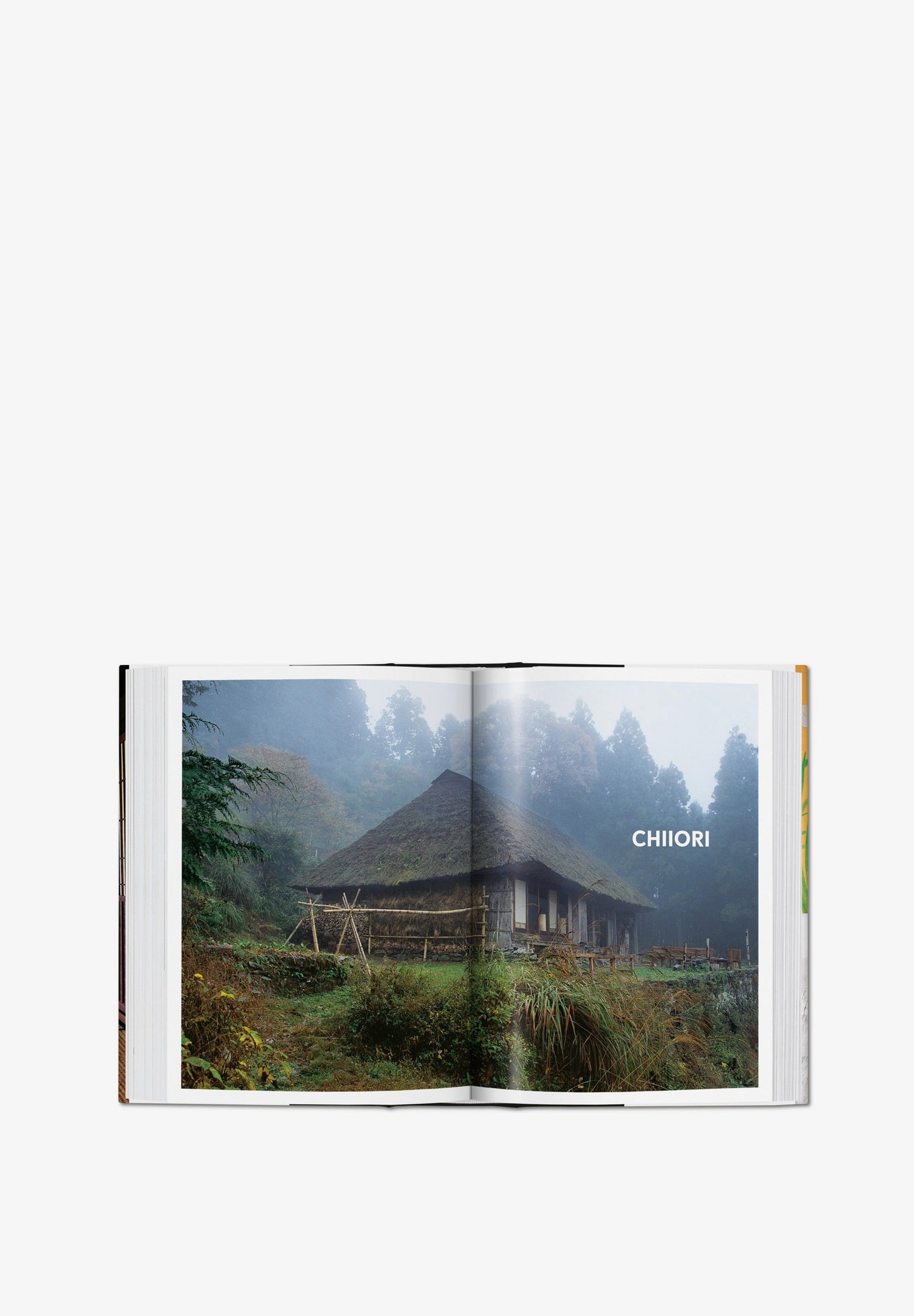 TASCHEN | LIBRO LIVING IN JAPAN 40TH ED