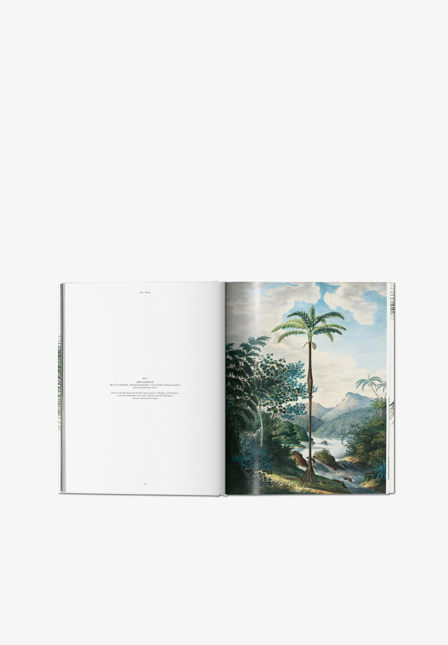 TASCHEN | LIBRO BOOK OF PALMS