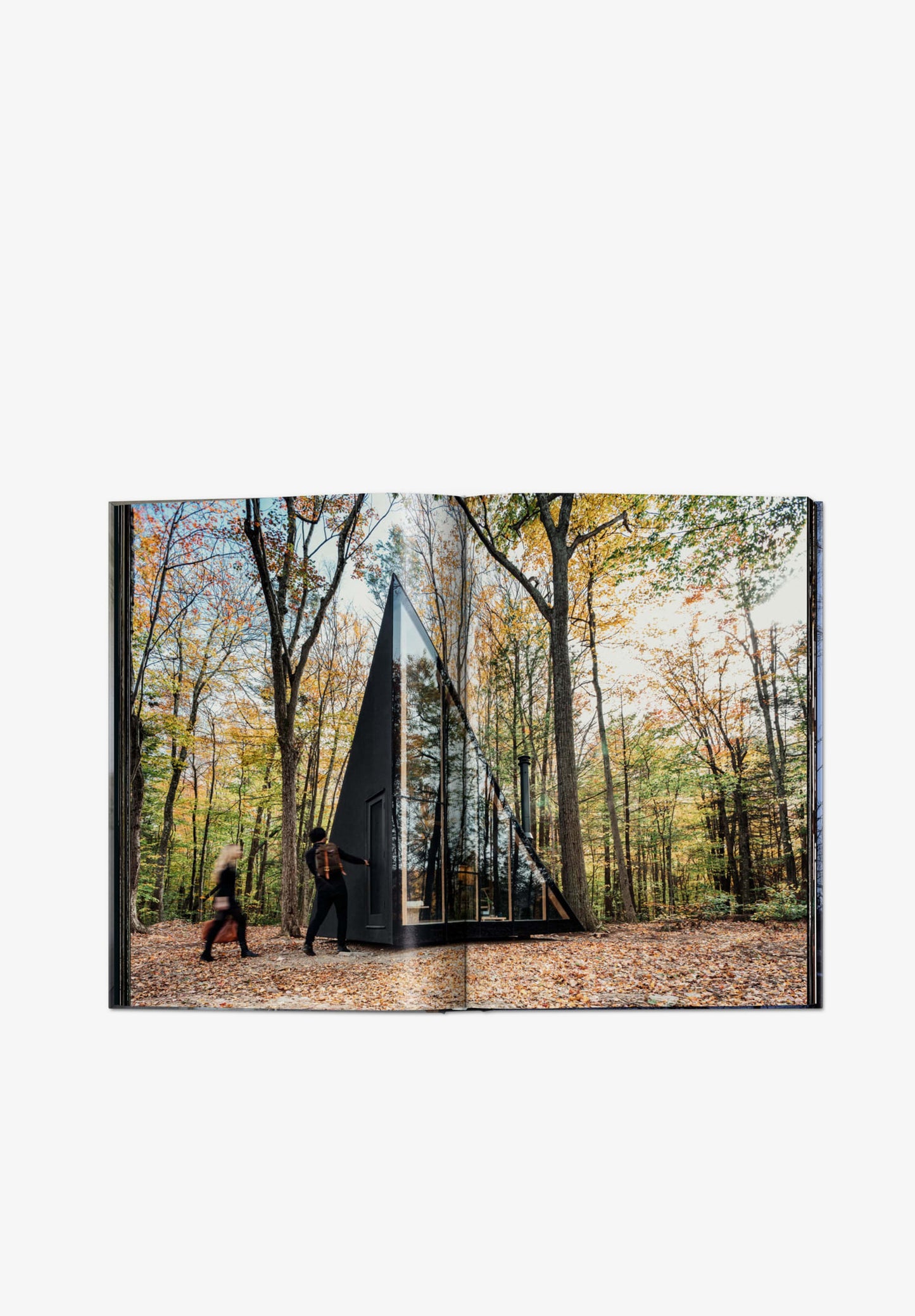 TASCHEN | LIBRO SMALL HOUSES