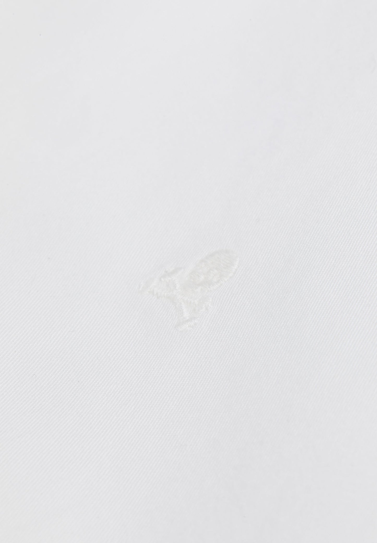 CAMISA CALAVERA BORDADA TONO