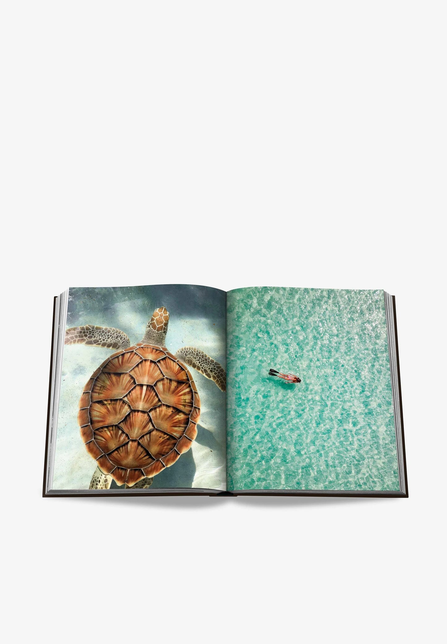 ASSOULINE | LIBRO JAMAICA VIBES