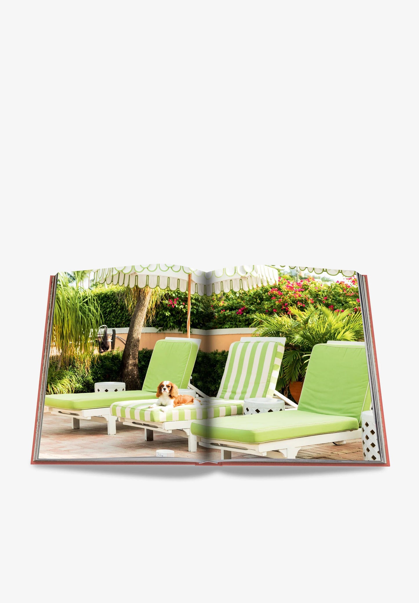 ASSOULINE | LIBRO PALM BEACH
