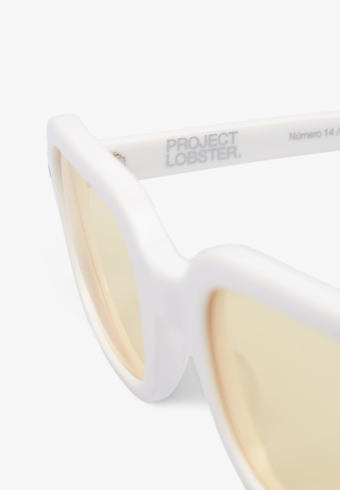 PROJECT LOBSTER | DEVON