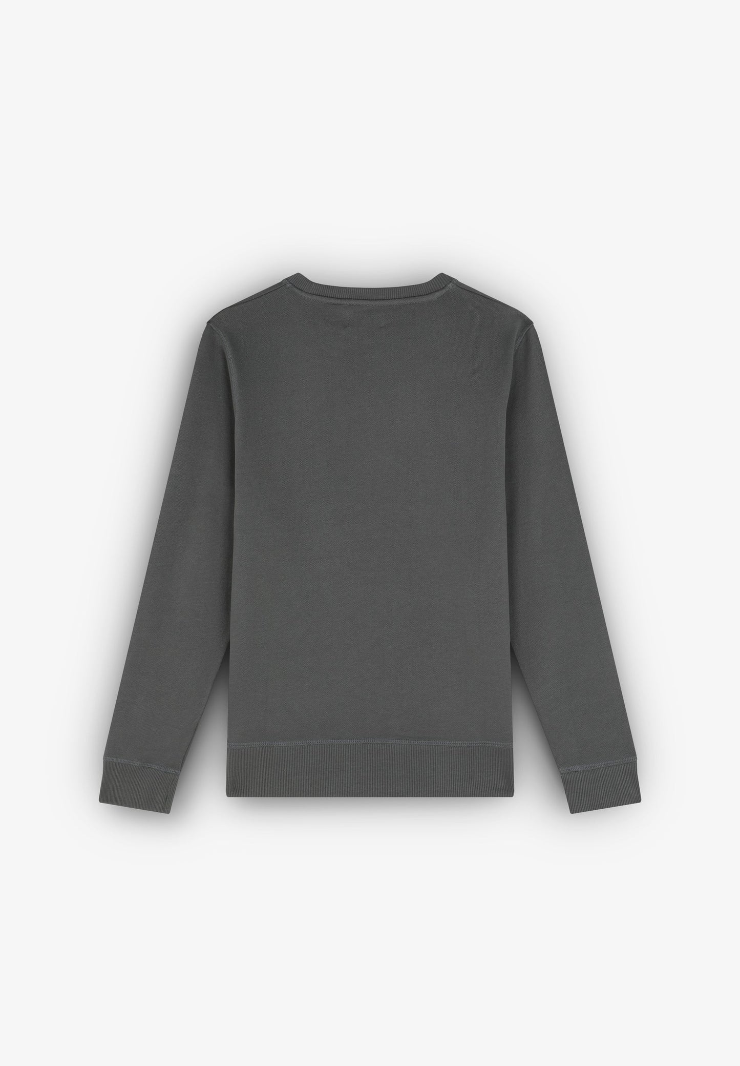 SUDADERA BÁSICA CALAVERA BORDADA