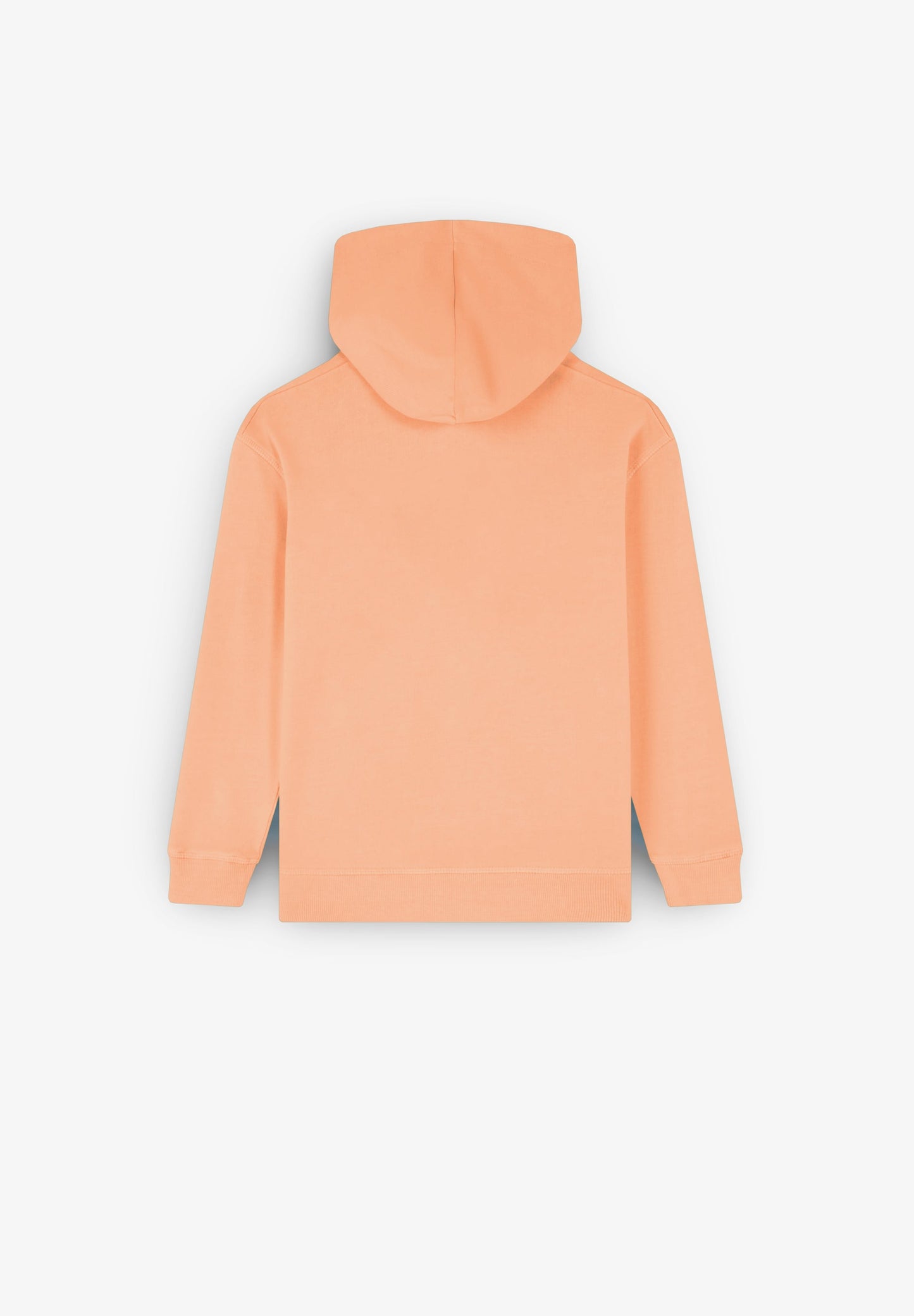 SUDADERA CAPUCHA PRINT DELANTERO