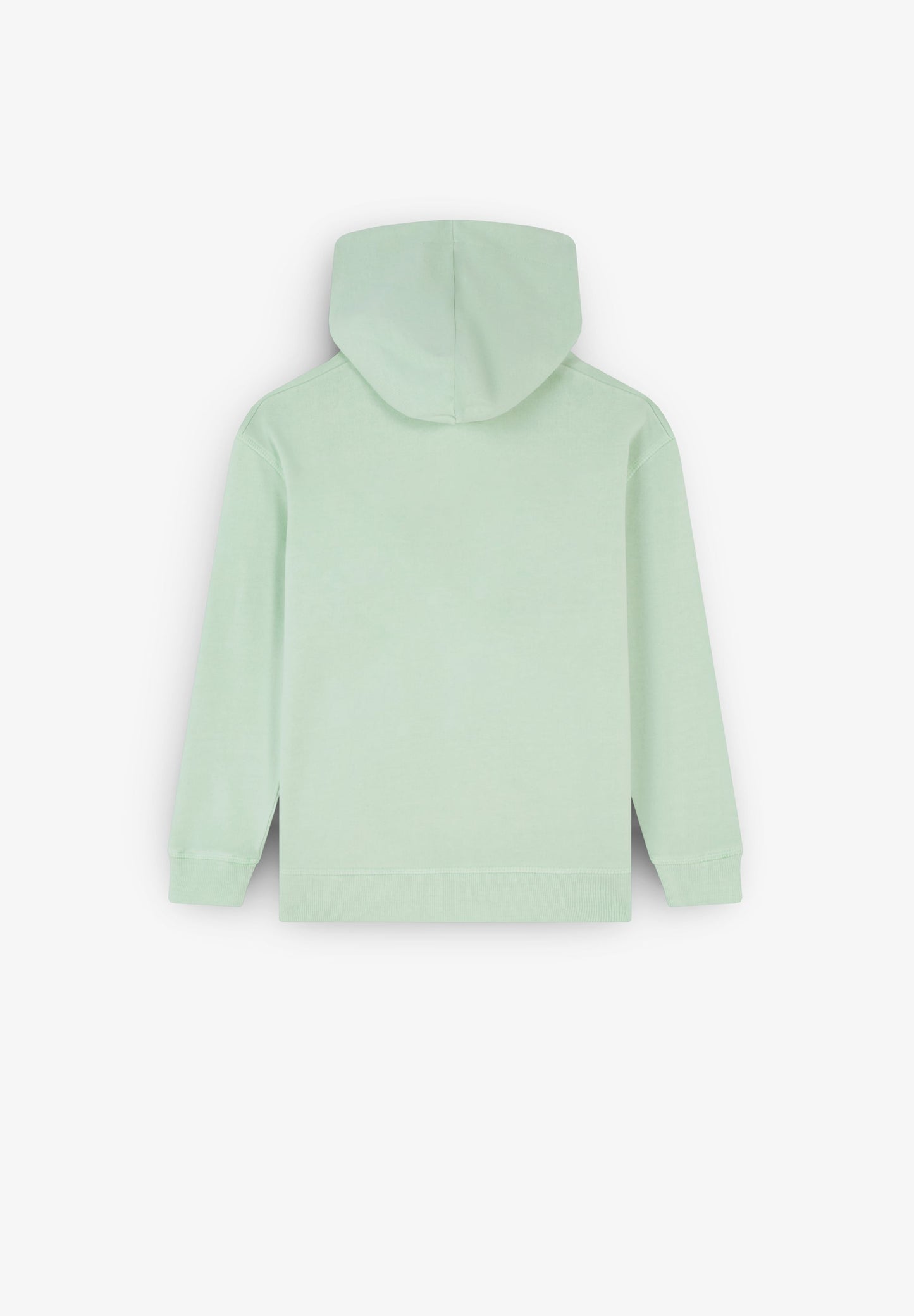 SUDADERA CAPUCHA PRINT DELANTERO