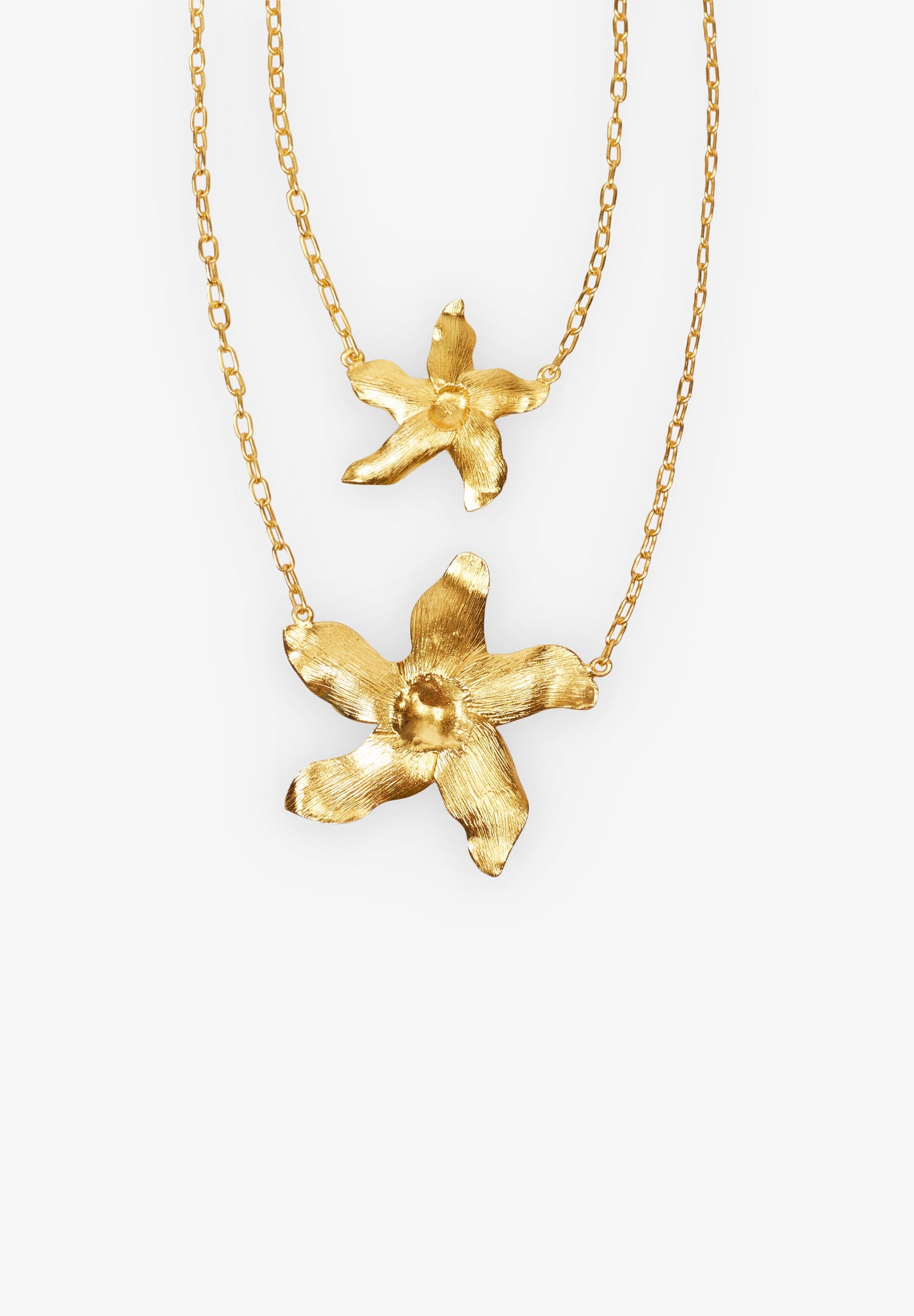 MONCOLLIER | COLGANTE BLODY