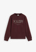 SUDADERA REGULAR FIT ESTAMPADO DELANTERO