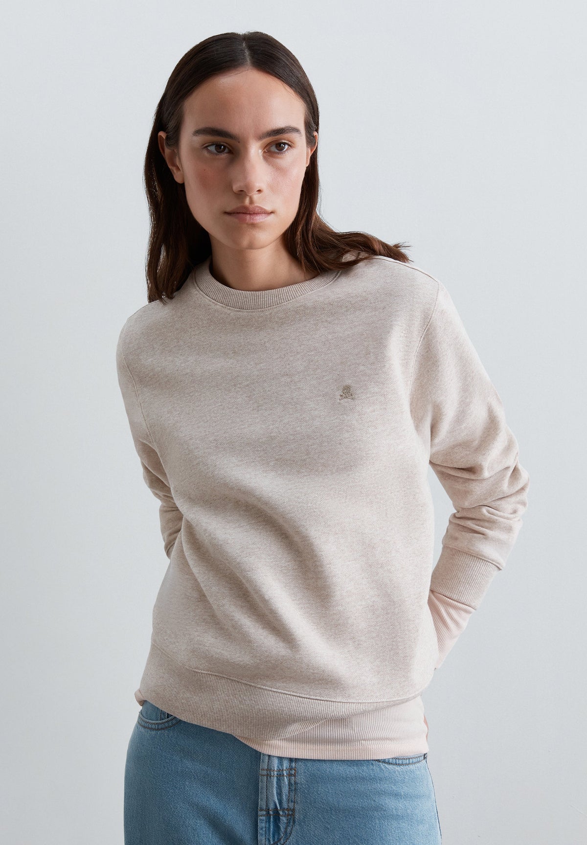 SUDADERA BORDADA REGULAR FIT