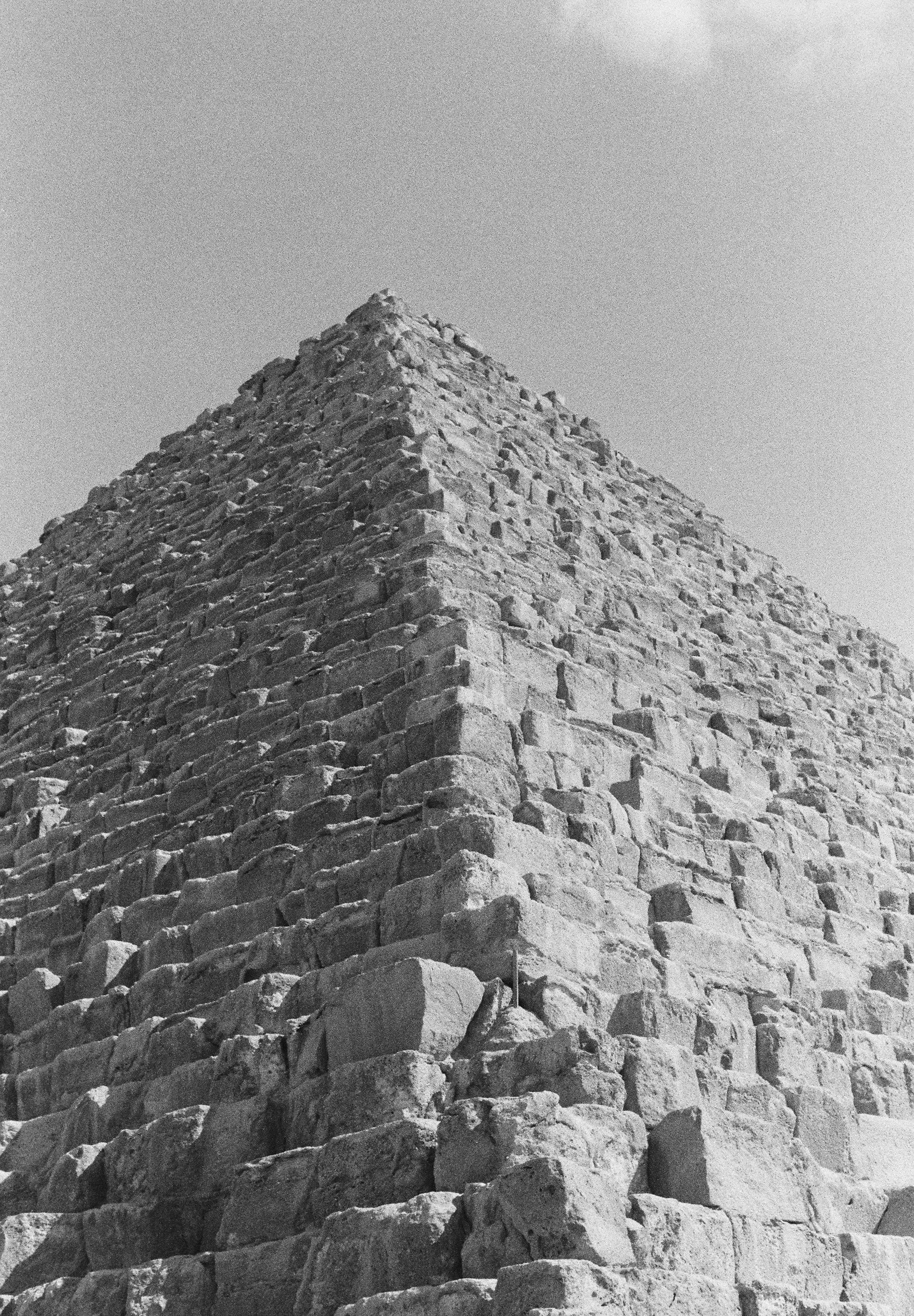 PANTALÓN CHINO ALGODÓN