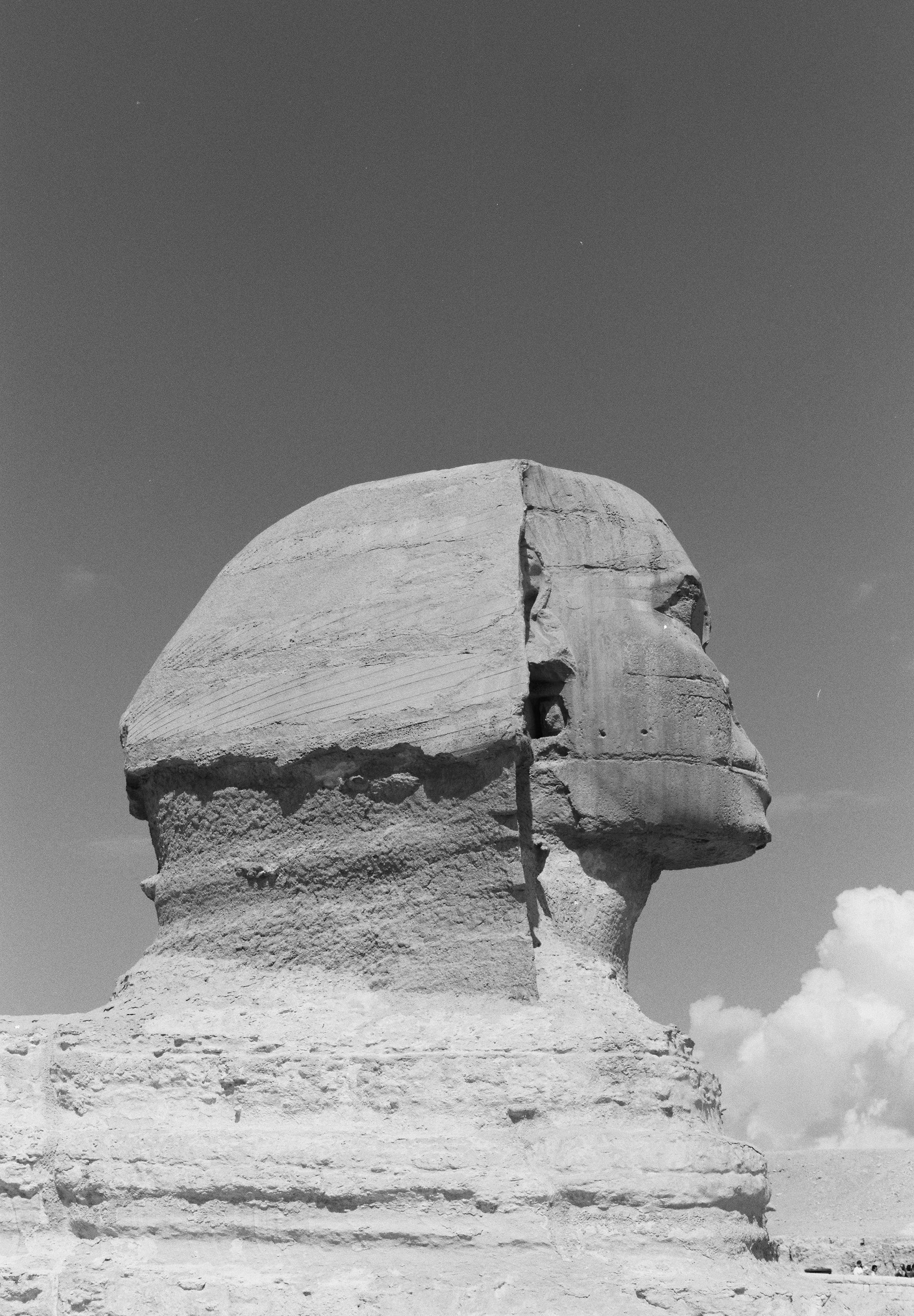 CHAQUETA BOMBER BORDADA