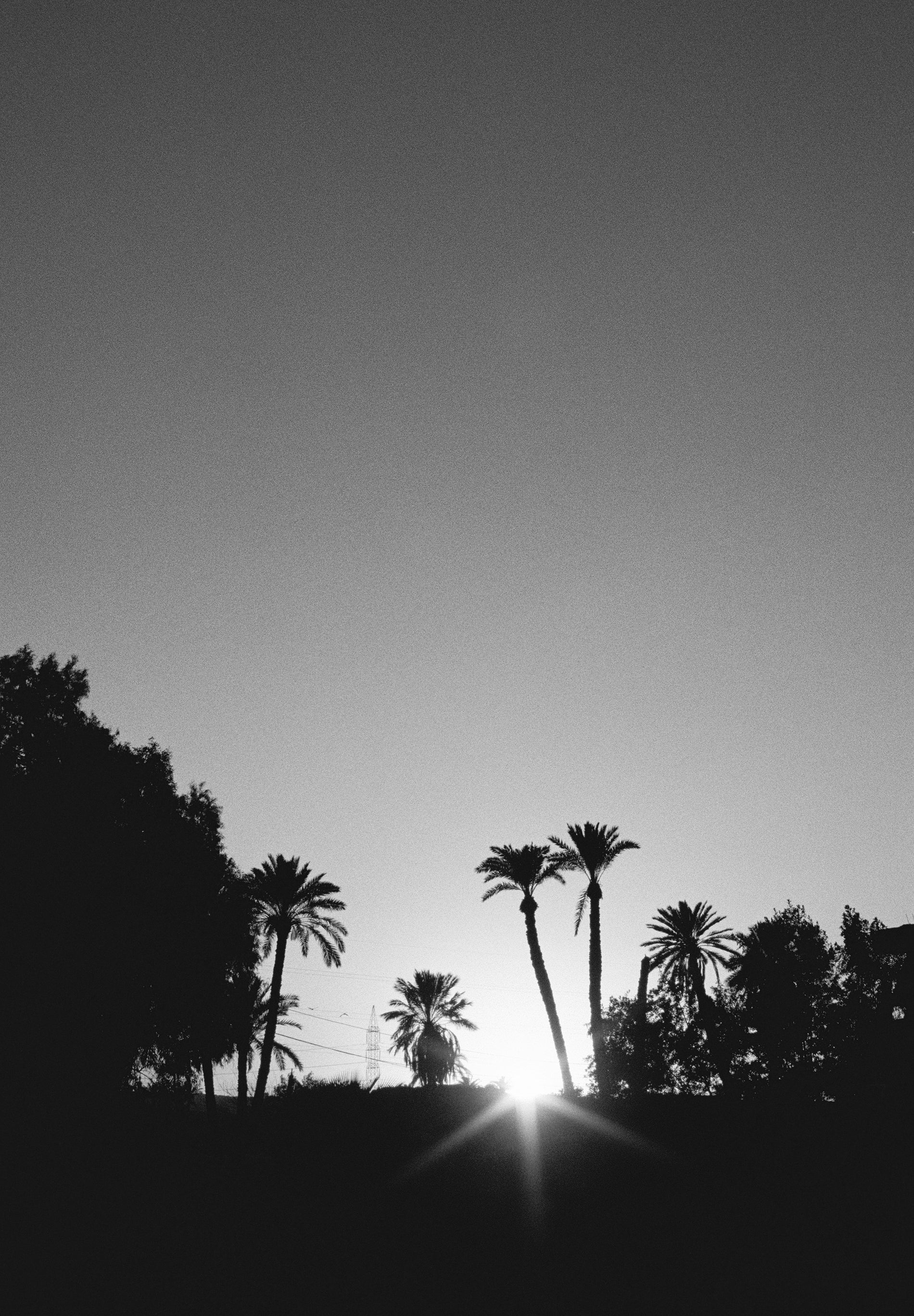 CHAQUETA BOMBER DENIM