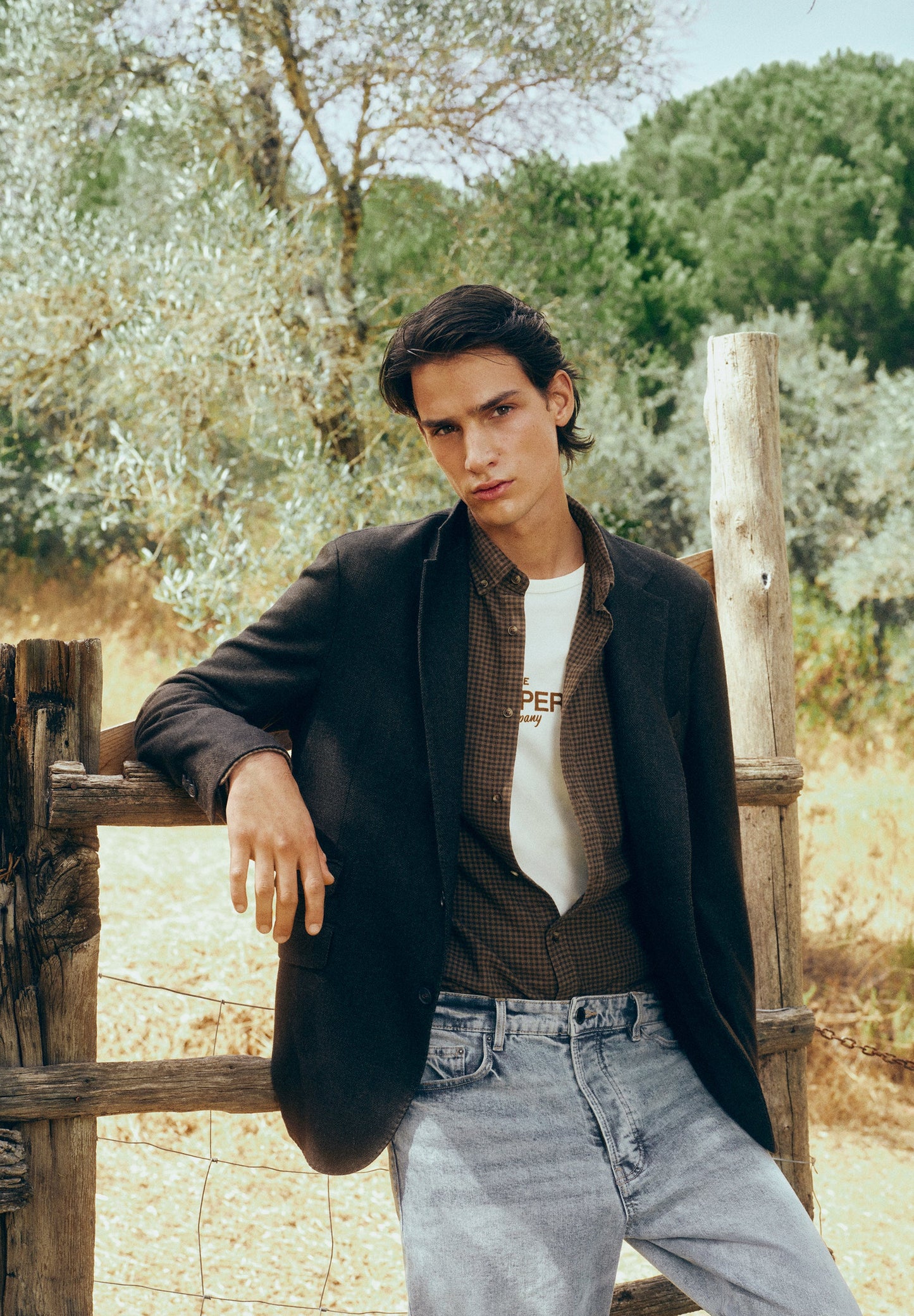 AMERICANA ESPIGA LANA