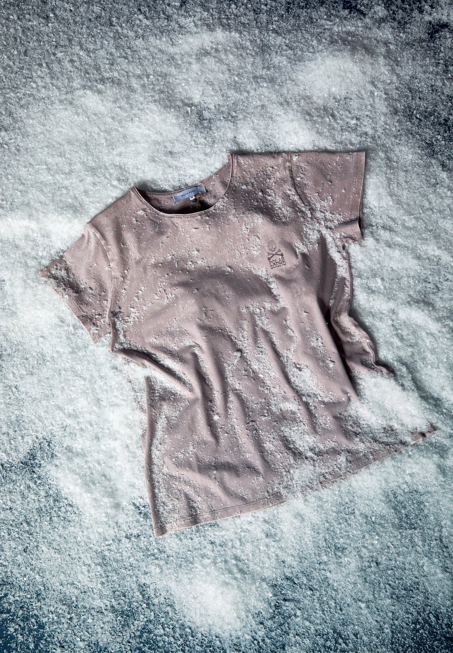 CAMISETA LAVADA PRINT POLAR SOUND