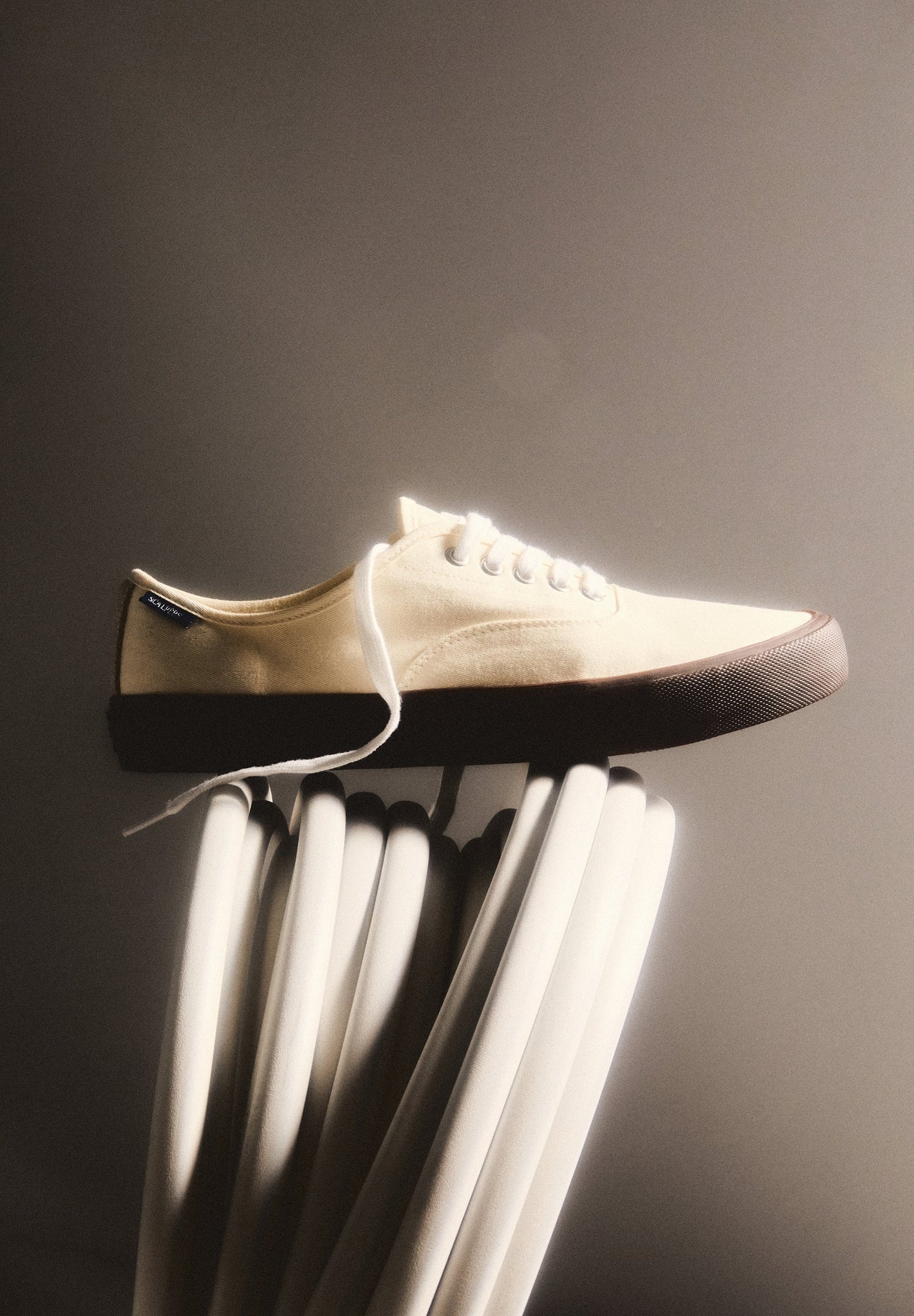 ZAPATILLA CANVAS LOW CUT