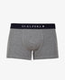BOXER LISO